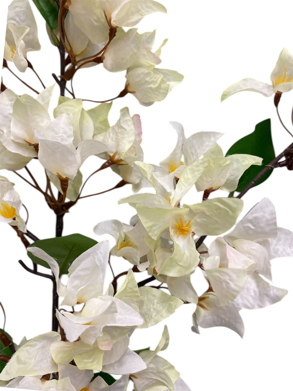 46'' Single Bougainvillea ( INT510-37-#3 Cream )