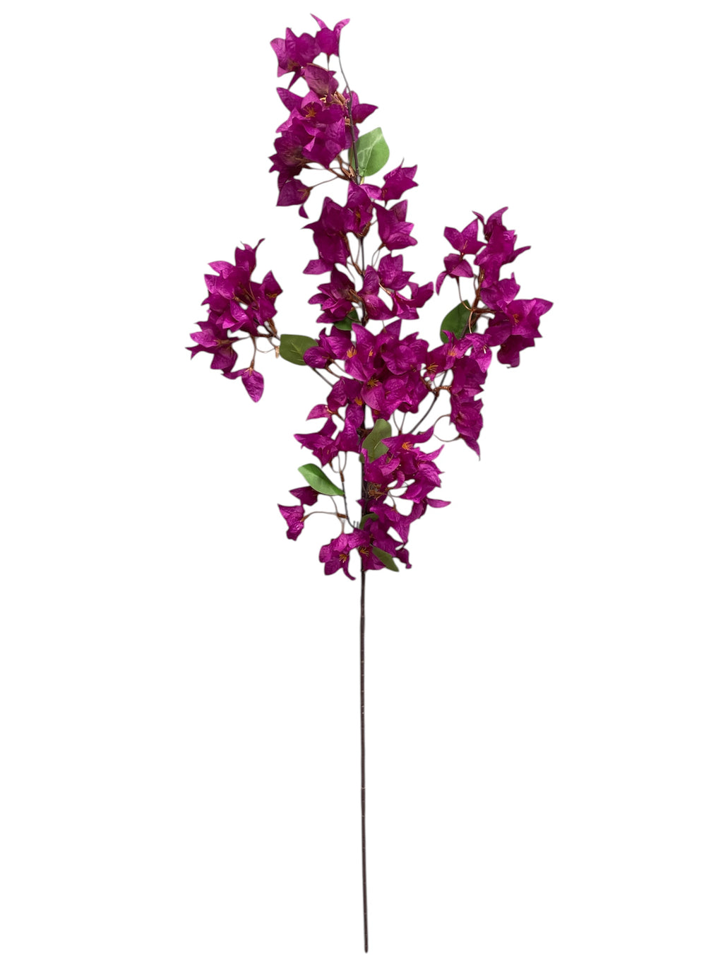 46'' Single Bougainvillea ( INT510-37-#4 Purple )