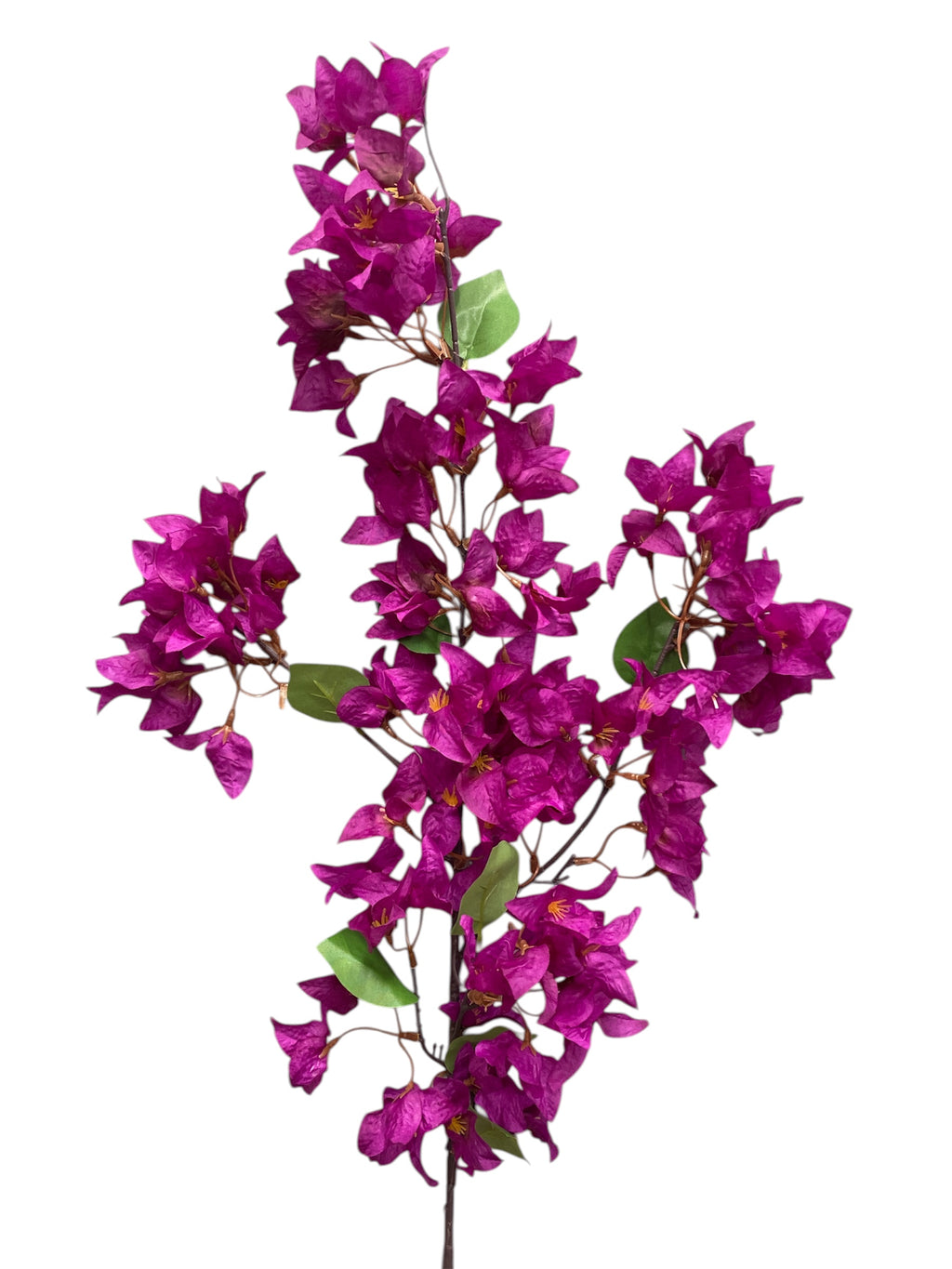 46'' Single Bougainvillea ( INT510-37-#4 Purple )
