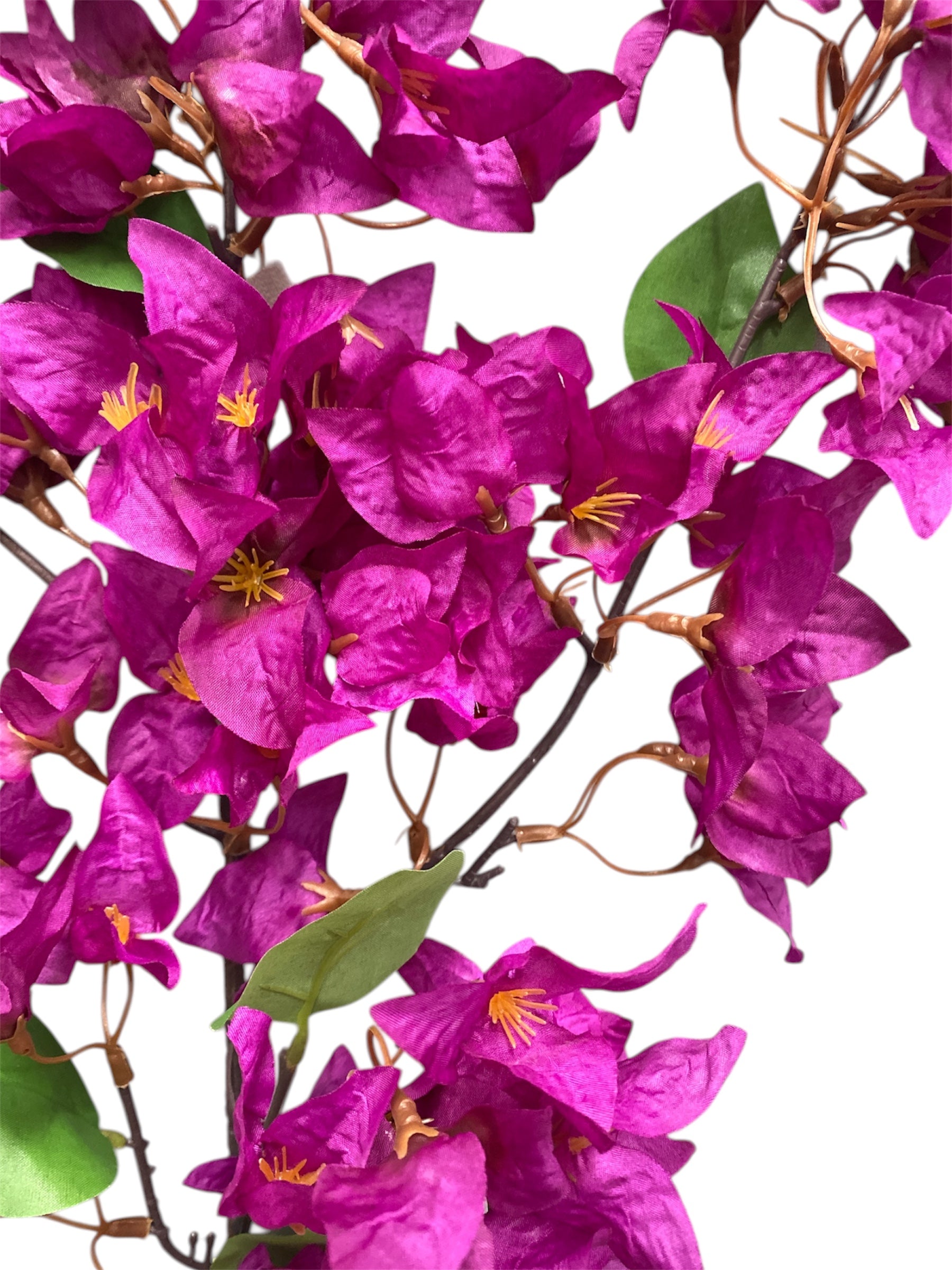 46'' Single Bougainvillea ( INT510-37-#4 Purple )