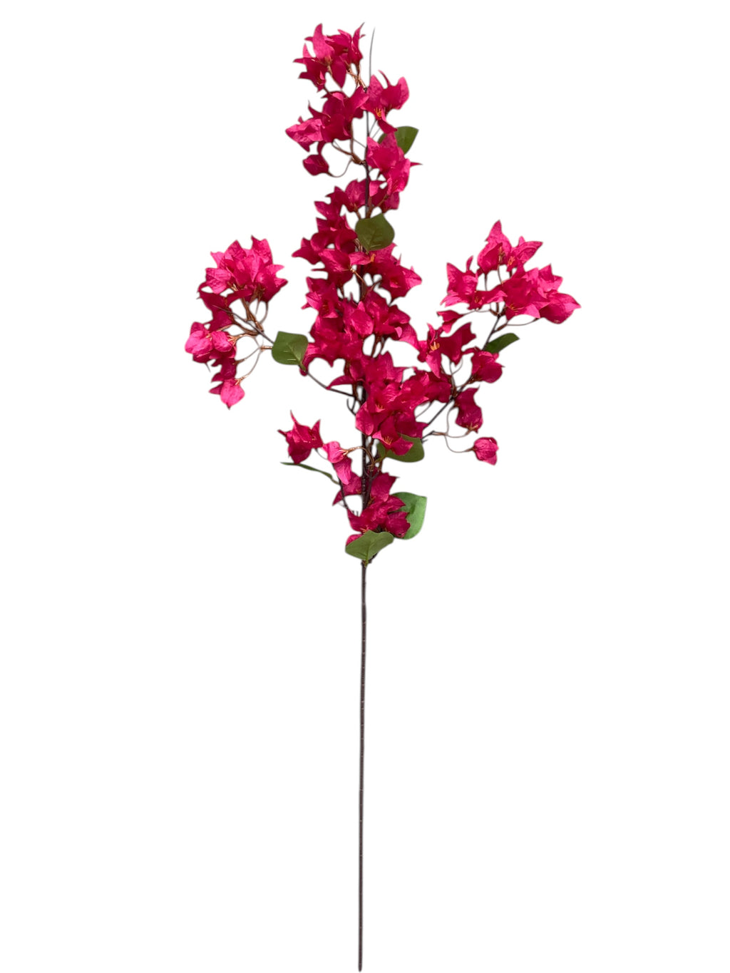 46'' Single Bougainvillea ( INT510-37-#2 Fuchsia )
