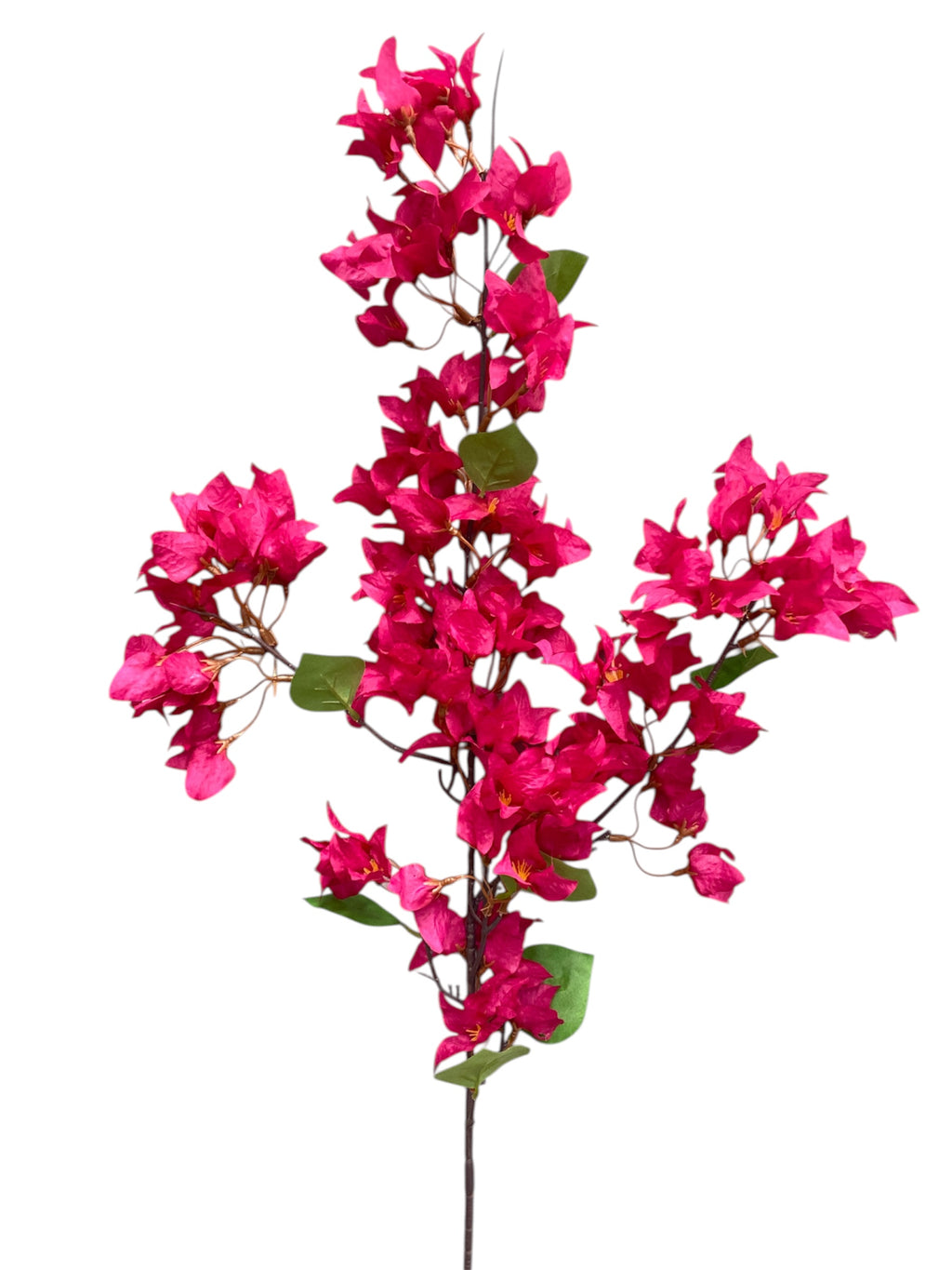 46'' Single Bougainvillea ( INT510-37-#2 Fuchsia )