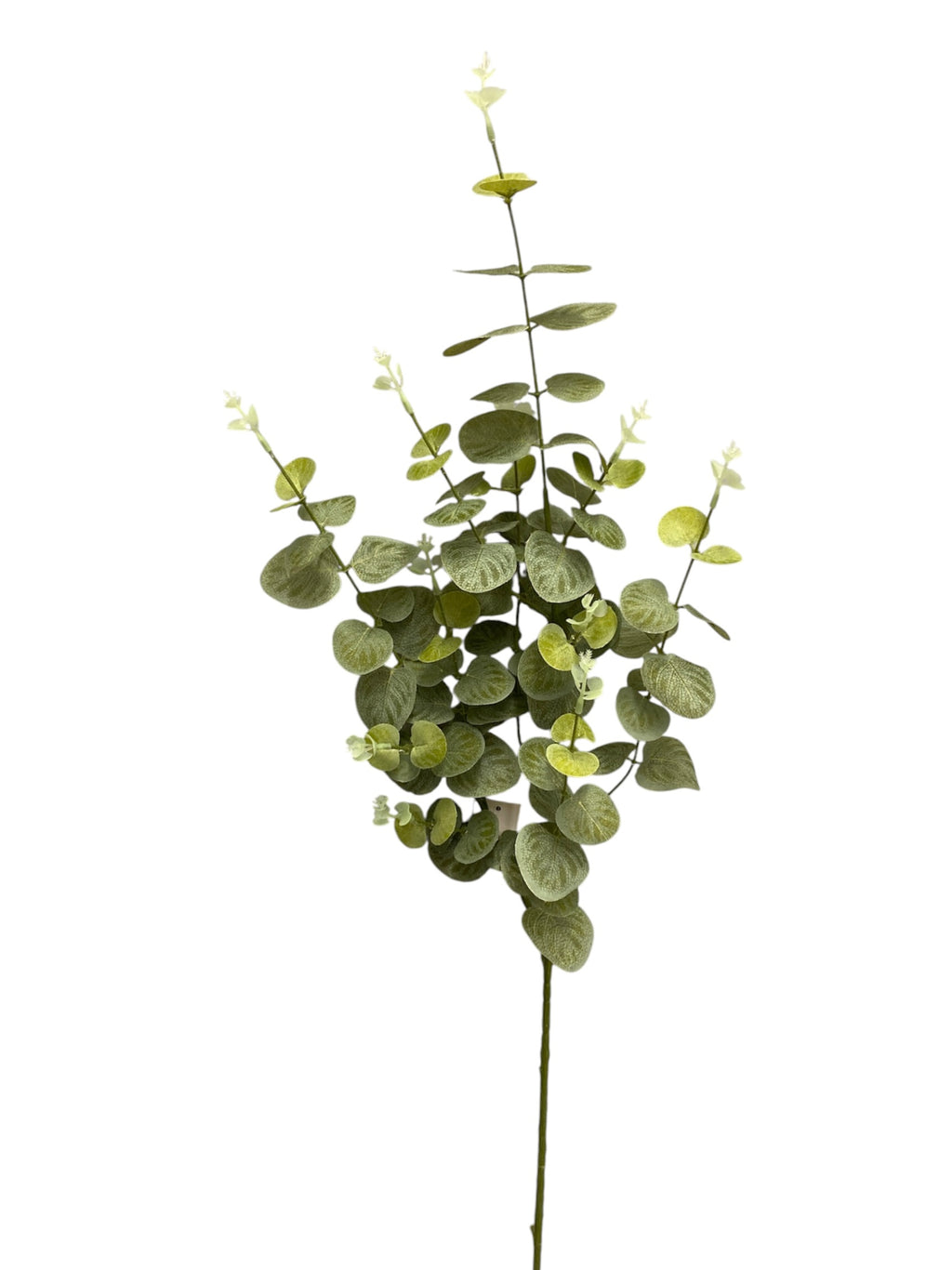 37'' EUCALYPTUS SPRAY ( SS001-Green )