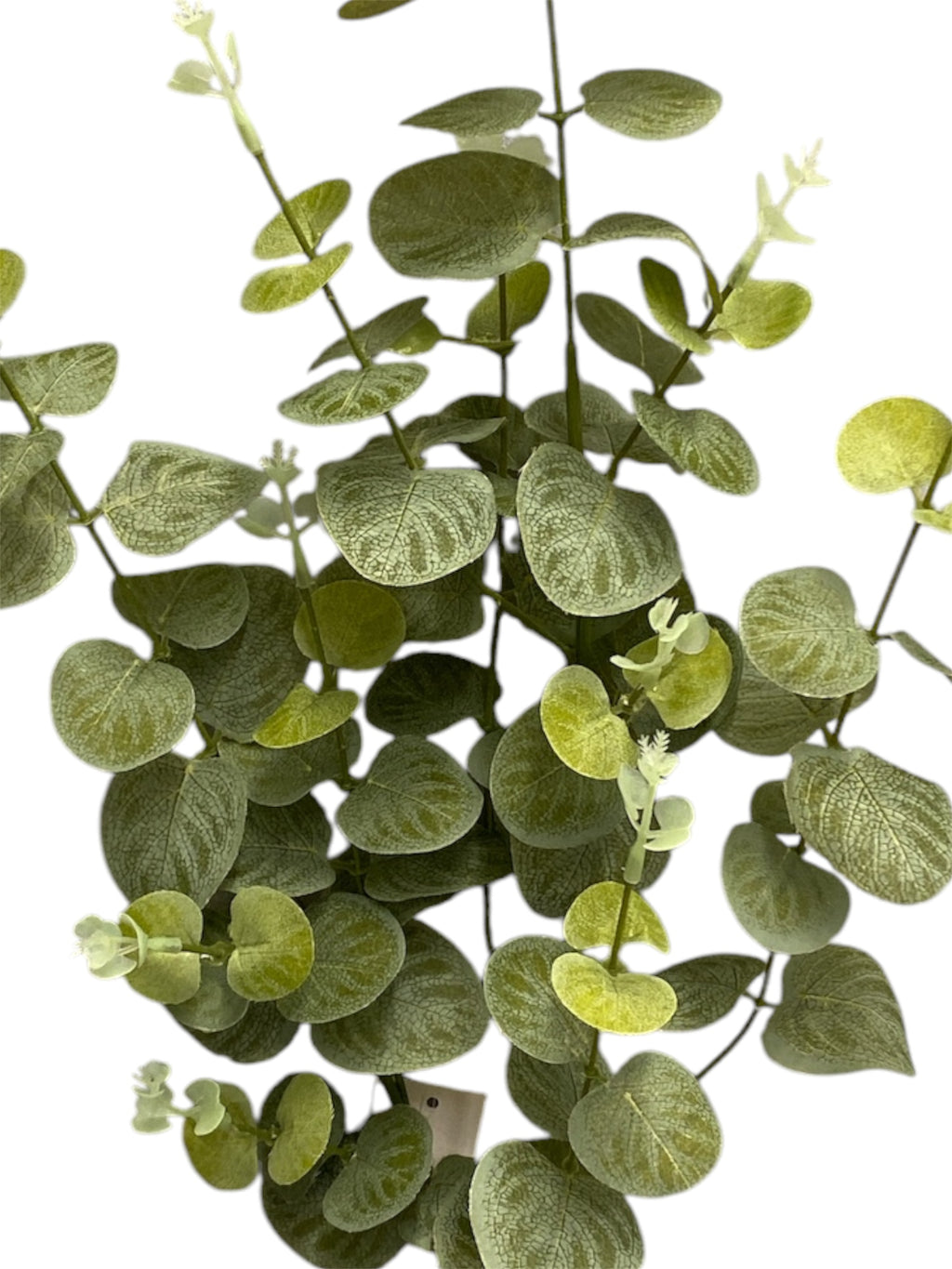 37'' EUCALYPTUS SPRAY ( SS001-Green )