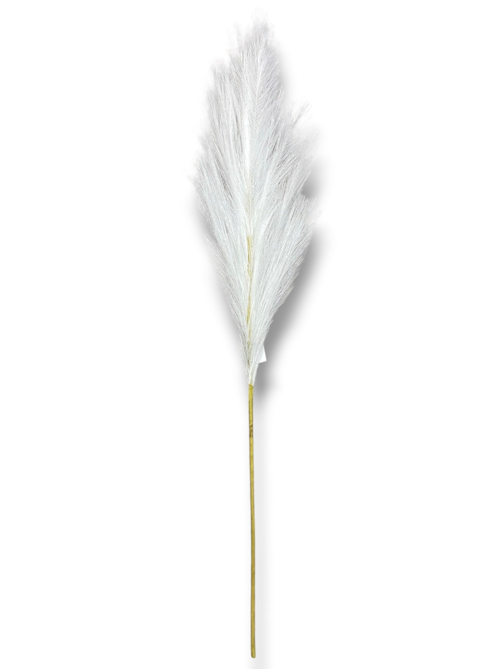 40'' Pampas Grass ( LW18-White )