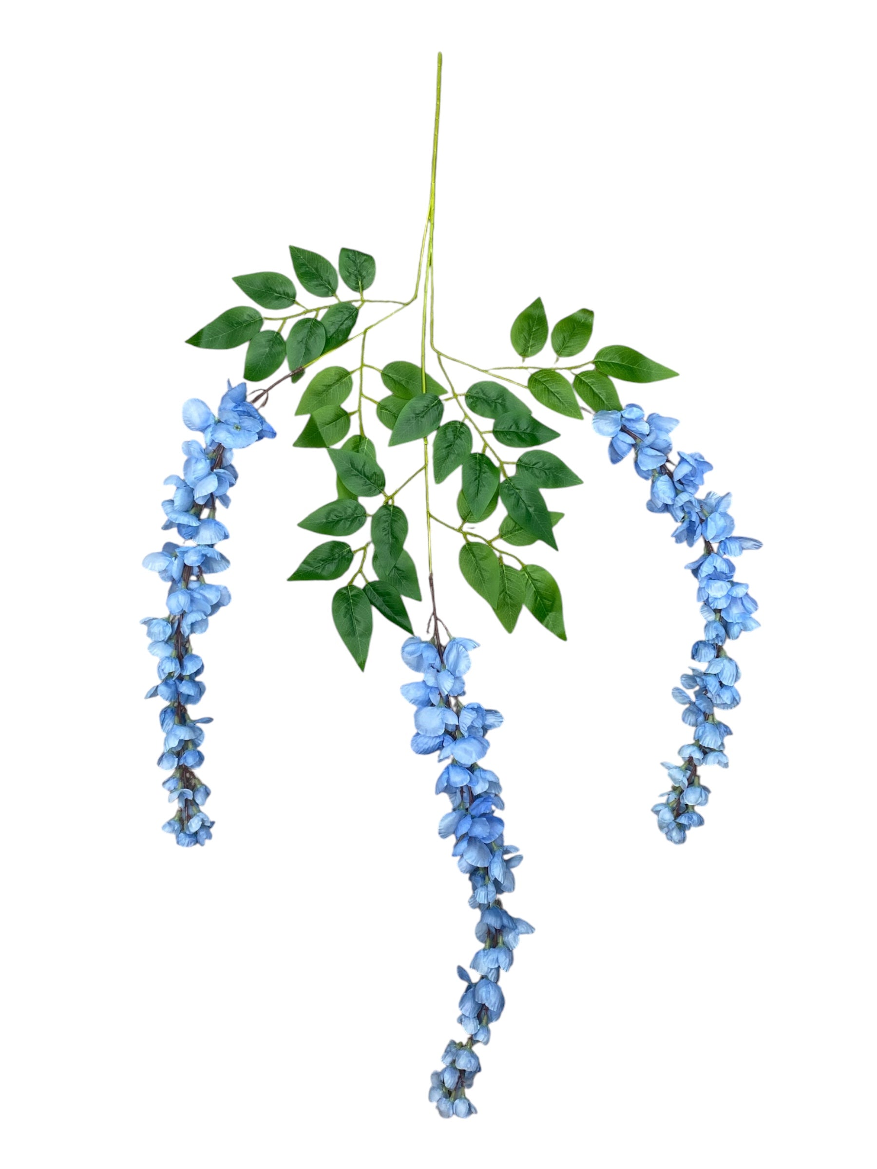 37'' Cassia Fistula ( H3001-#8 Baby Blue )