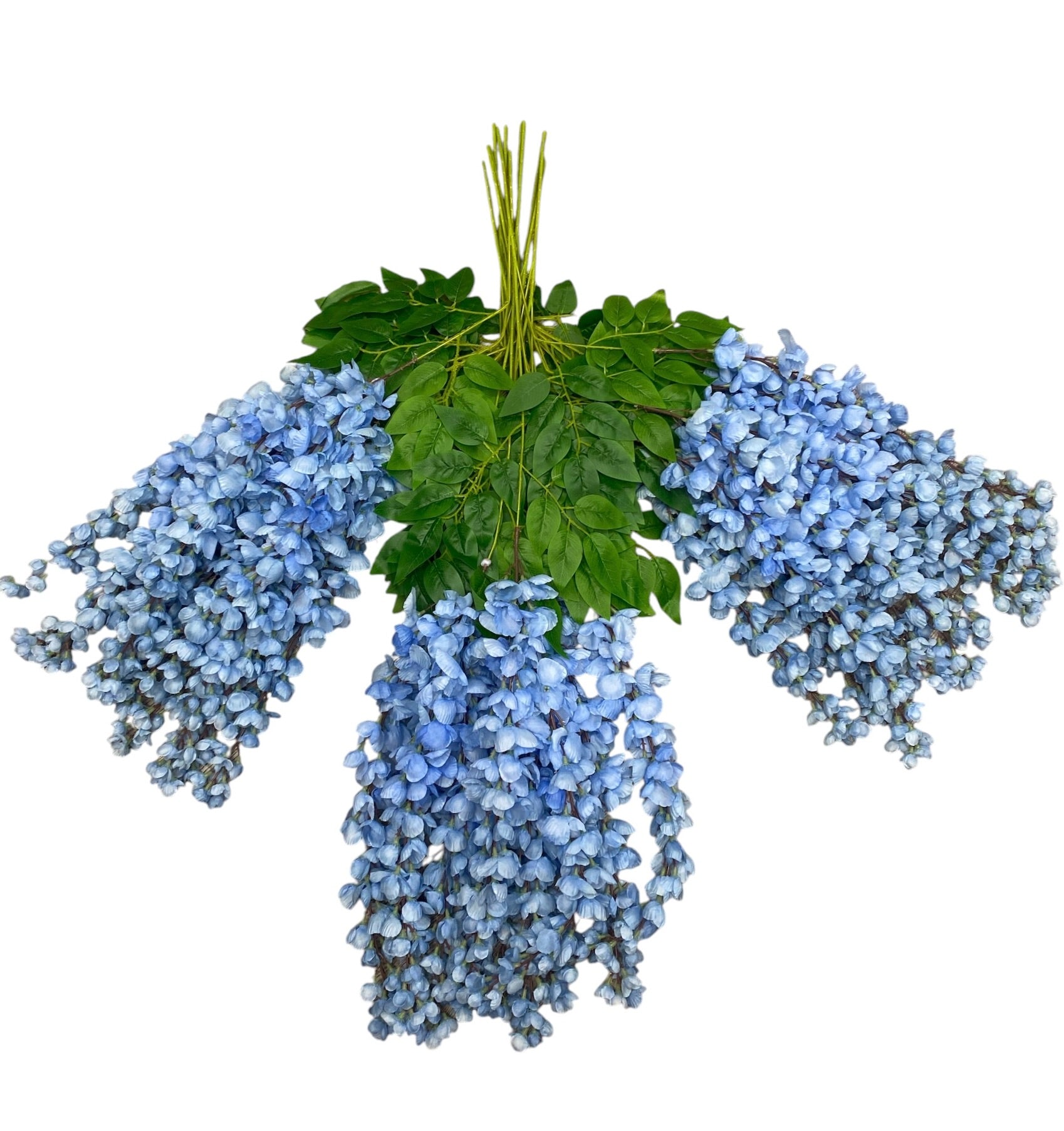 37'' Cassia Fistula ( H3001-#8 Baby Blue )