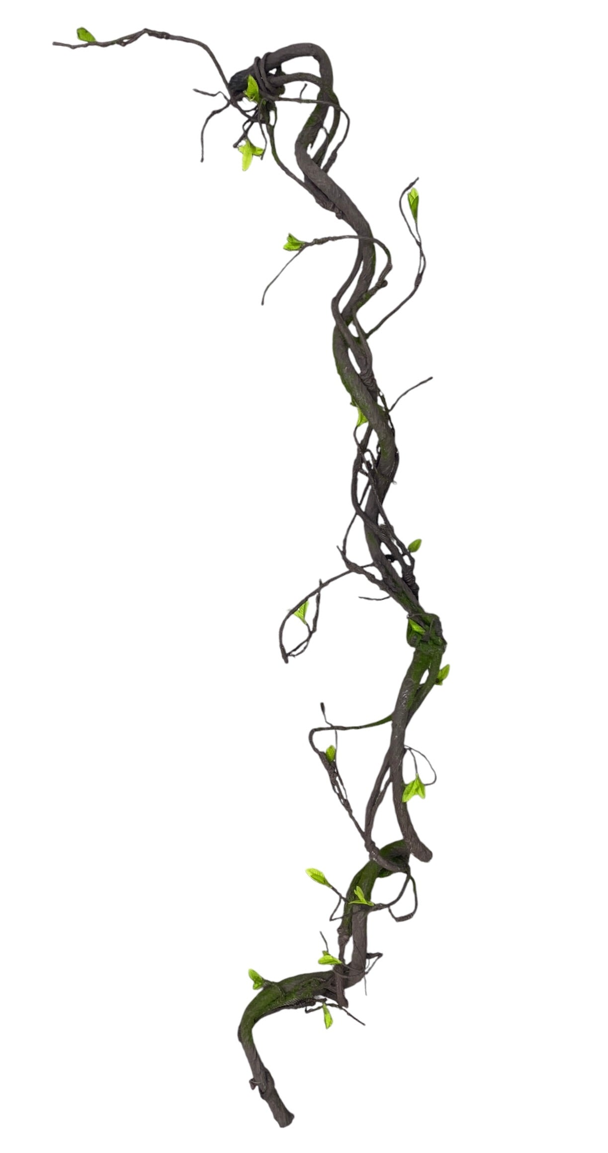 6.5' Branch ( 84128-BRNGN )