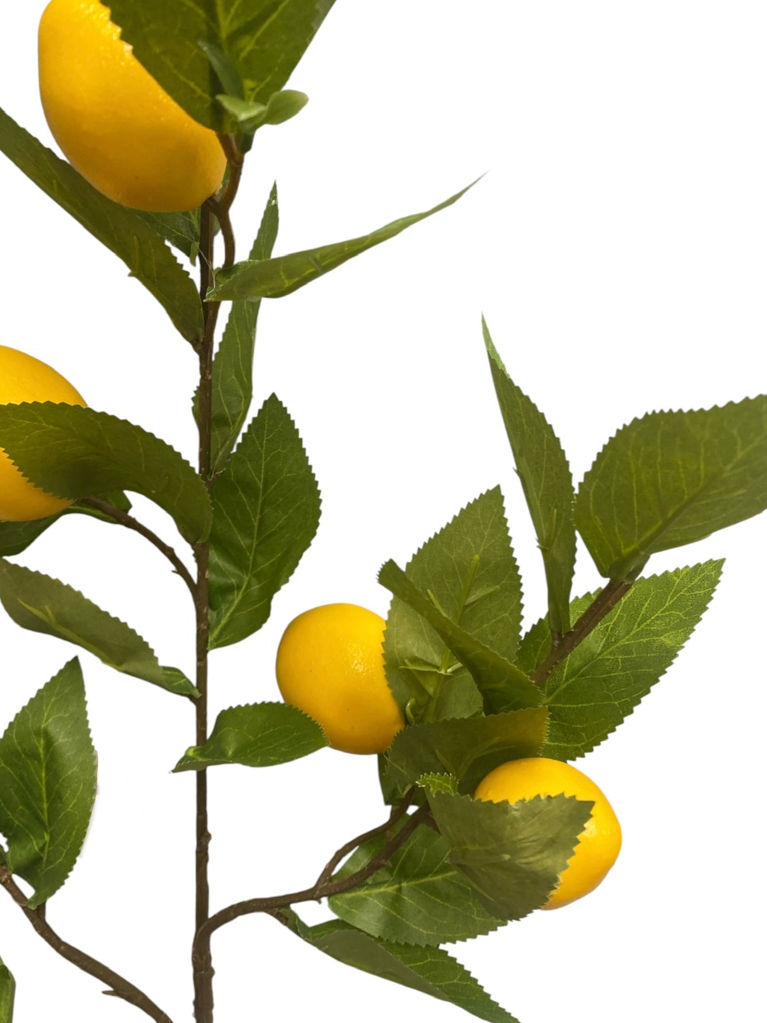 36'' Single Lemon Branch ( INT510-107-#2 Yellow )