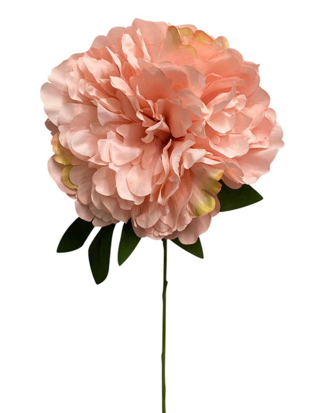 20'' Peony Bush ( INT2034-#15 Pink )