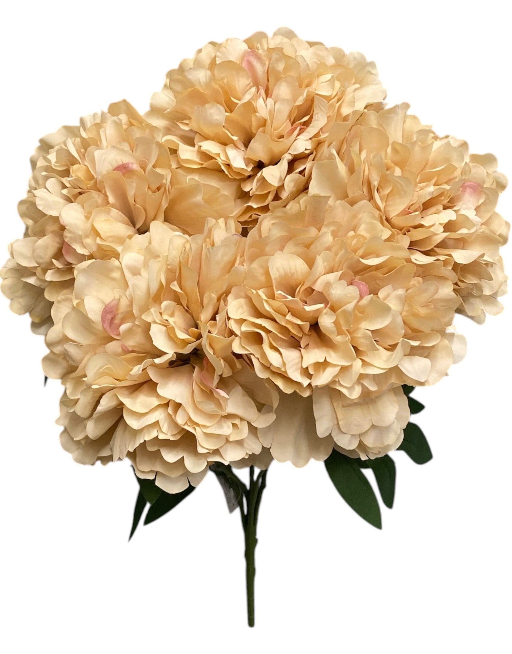 20'' Peony Bush ( INT2034-#3 Light Brown )