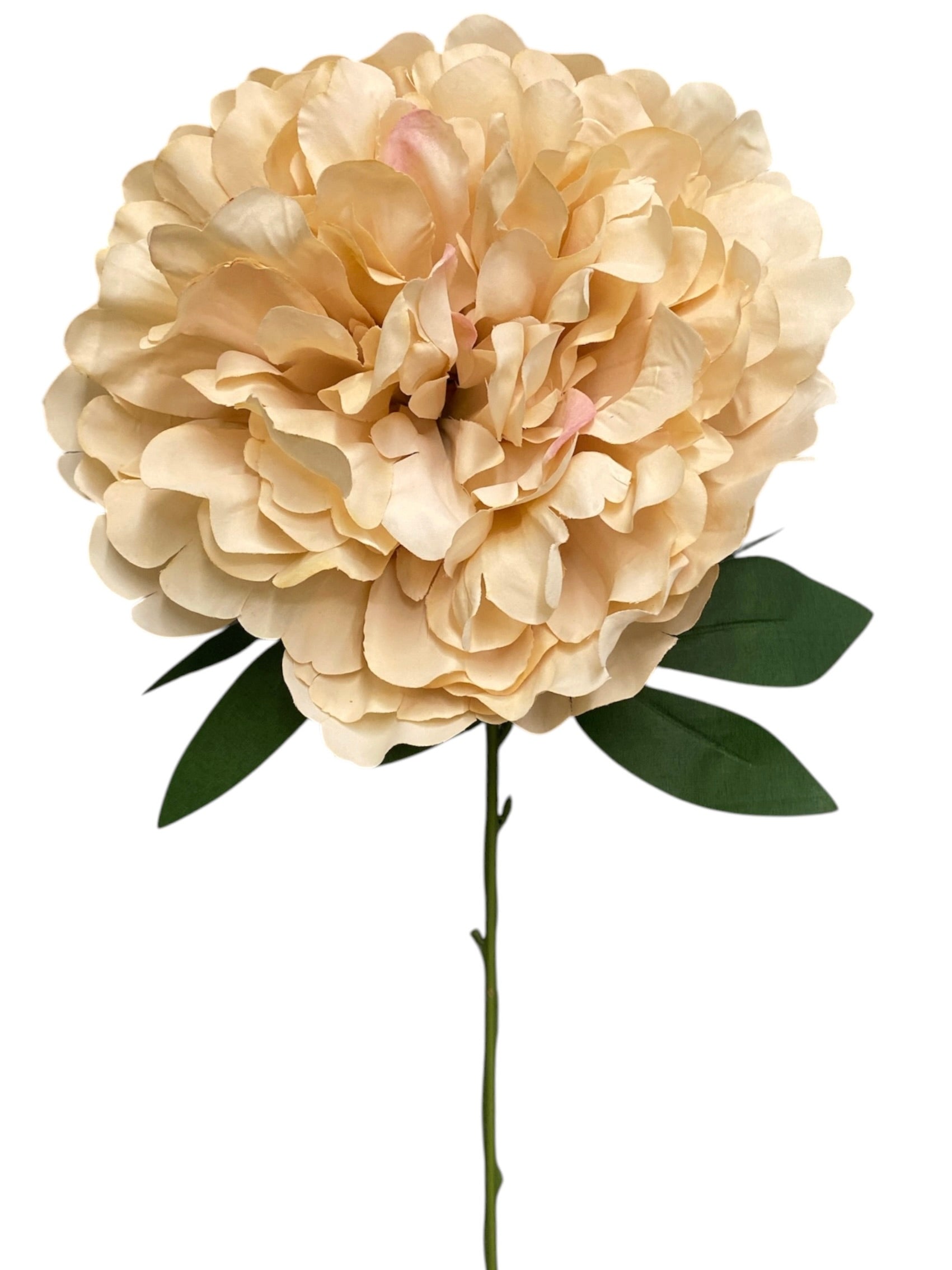 20'' Peony Bush ( INT2034-#3 Light Brown )