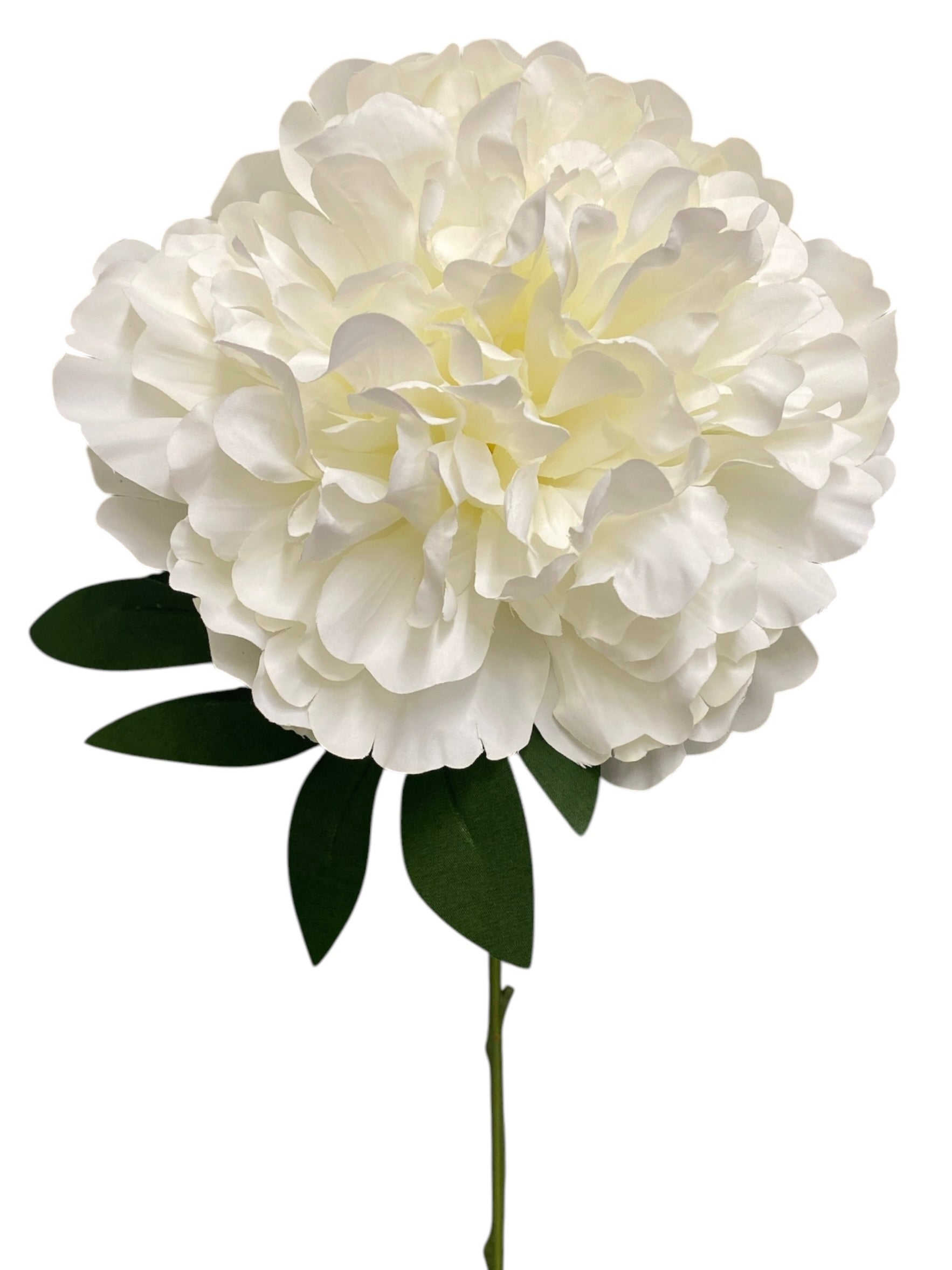 20'' Peony Bush ( INT2034-#13 Cream )