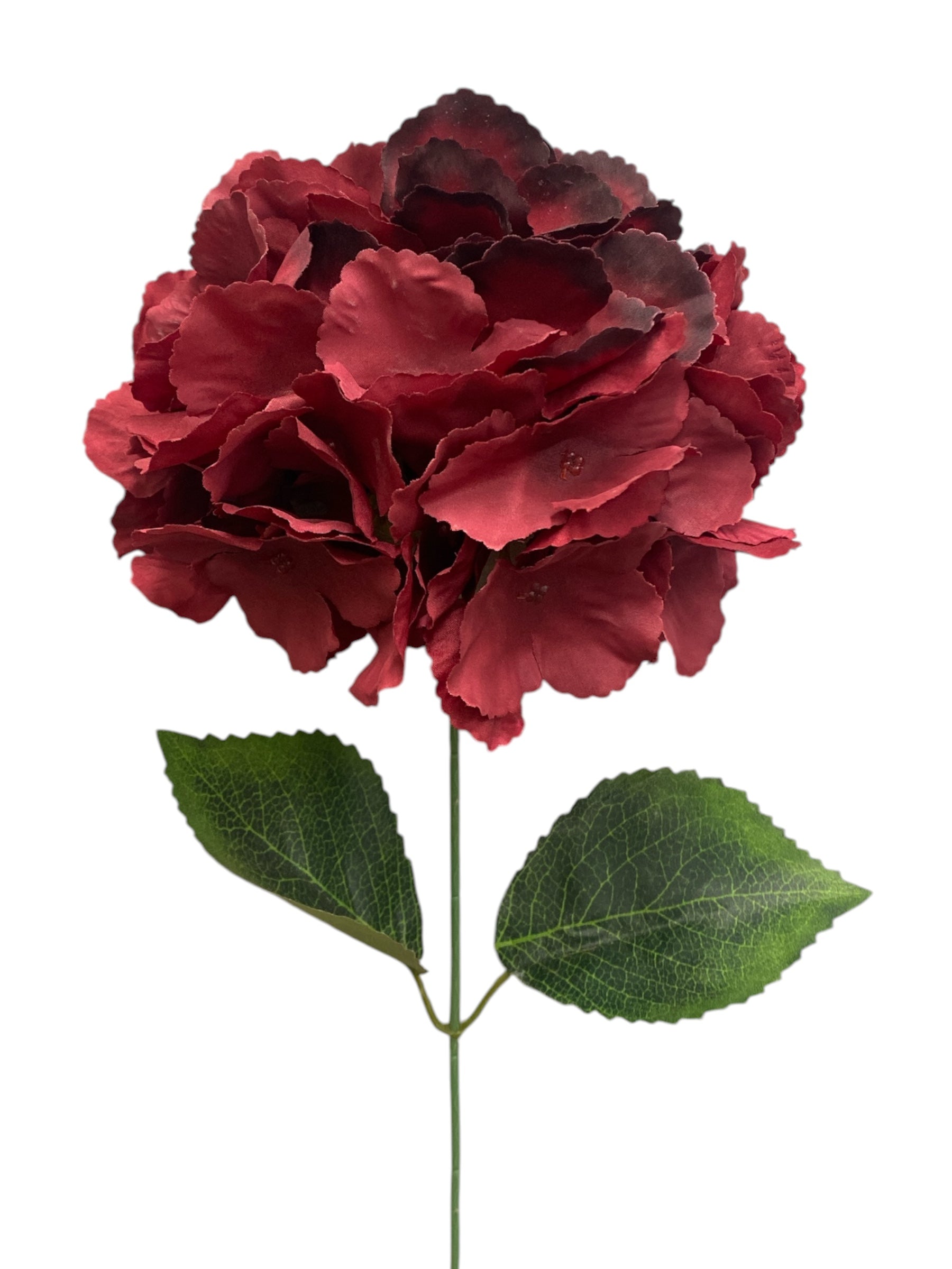 19'' Jumbo Hydrangea Bush ( INT510-45-#10 Burgundy )