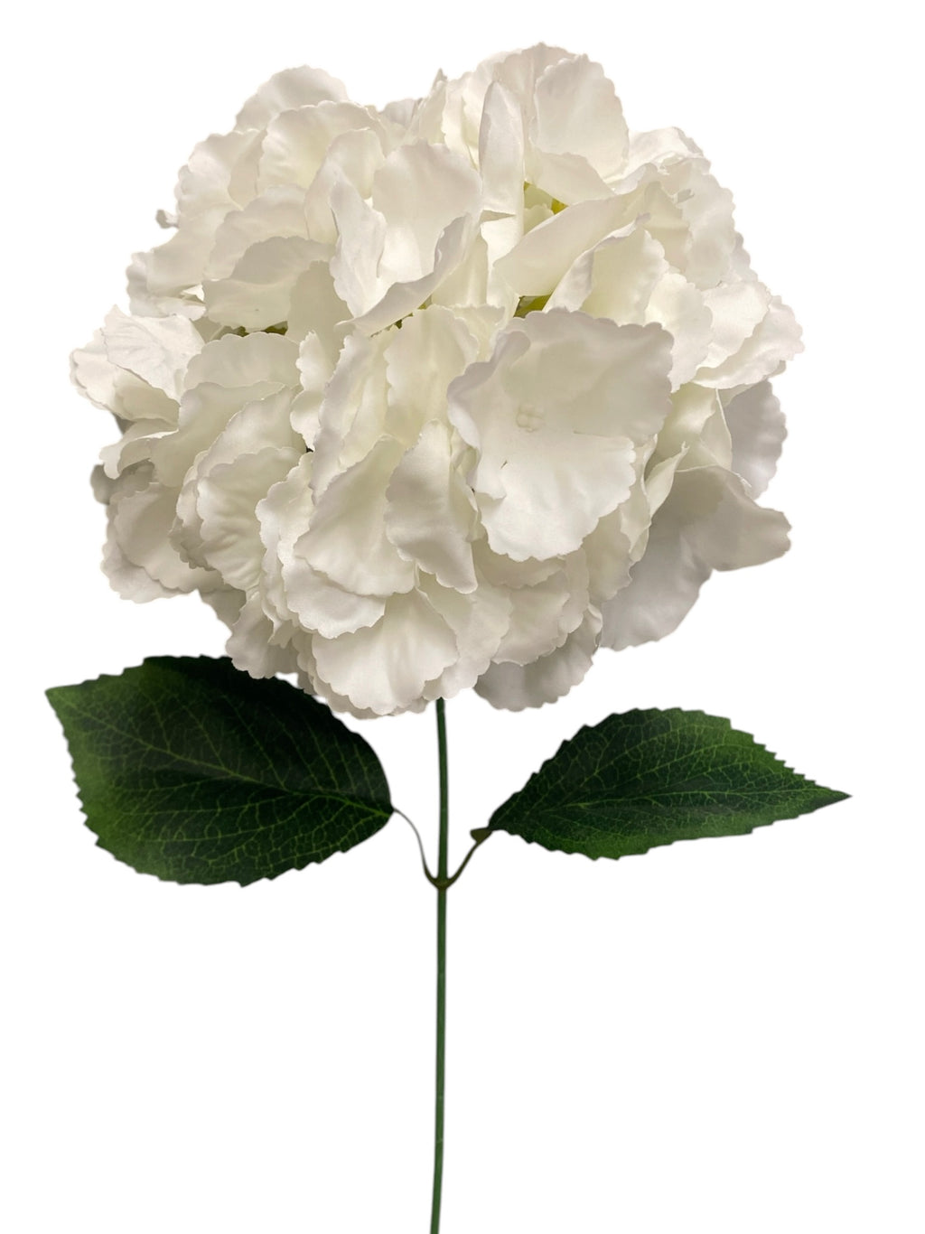 19'' Jumbo Hydrangea Bush ( INT510-45-#6 Cream )