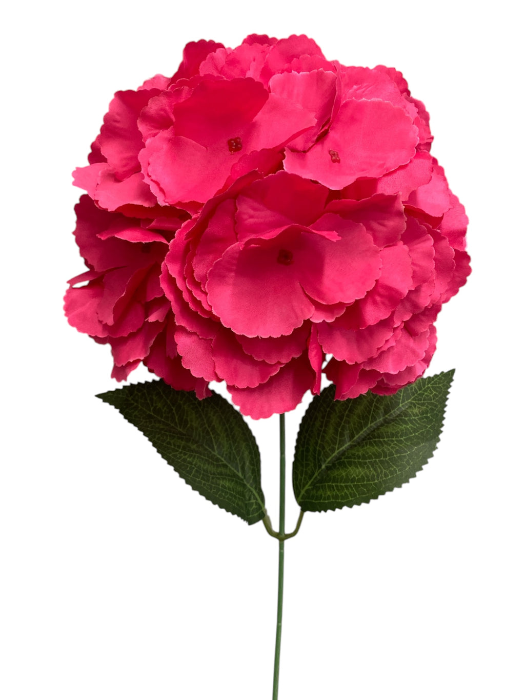 19'' Jumbo Hydrangea Bush ( INT510-45-#5 New Fuchsia )
