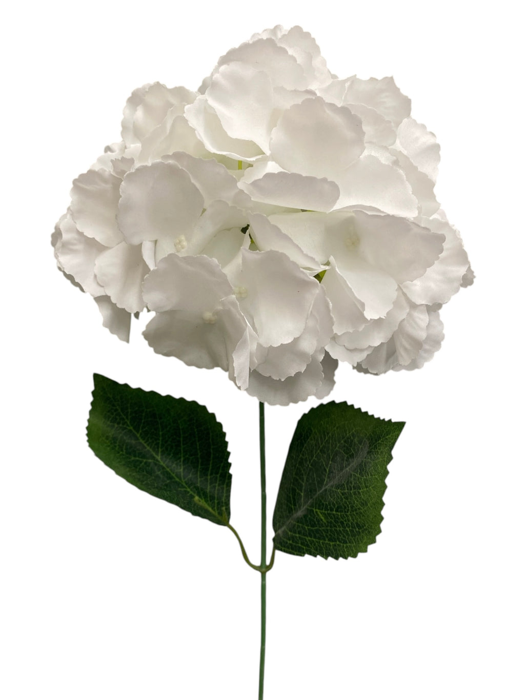 19'' Jumbo Hydrangea Bush ( INT510-45-#7 White )