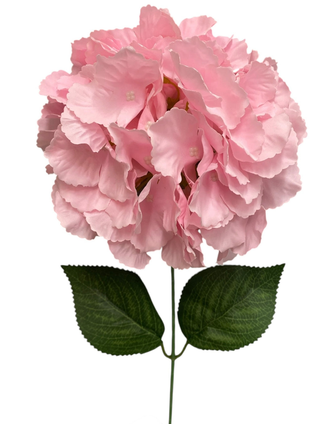 19'' Jumbo Hydrangea Bush ( INT510-45-#11 Cream Pink )
