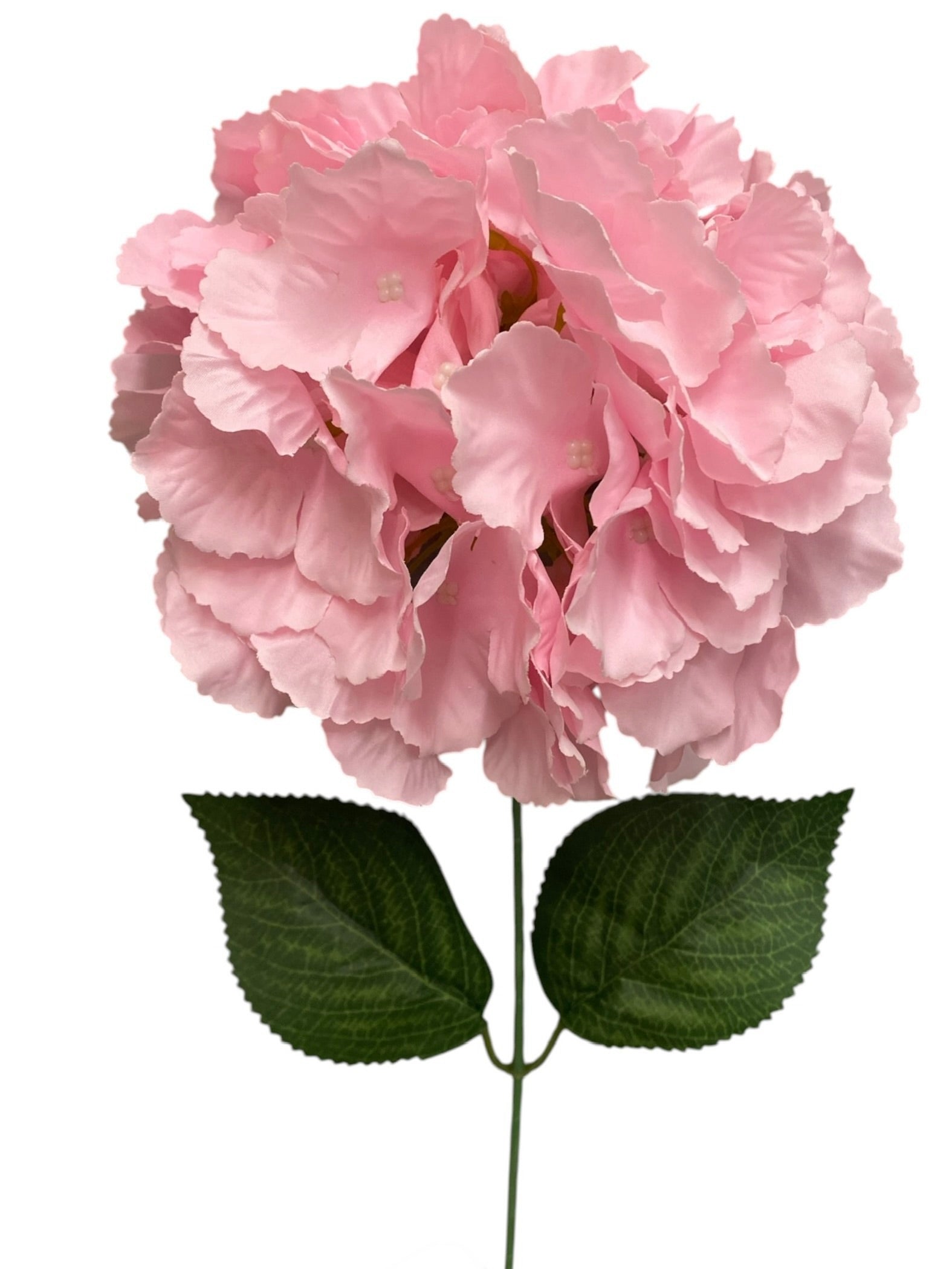 19'' Jumbo Hydrangea Bush ( INT510-45-#11 Cream Pink )
