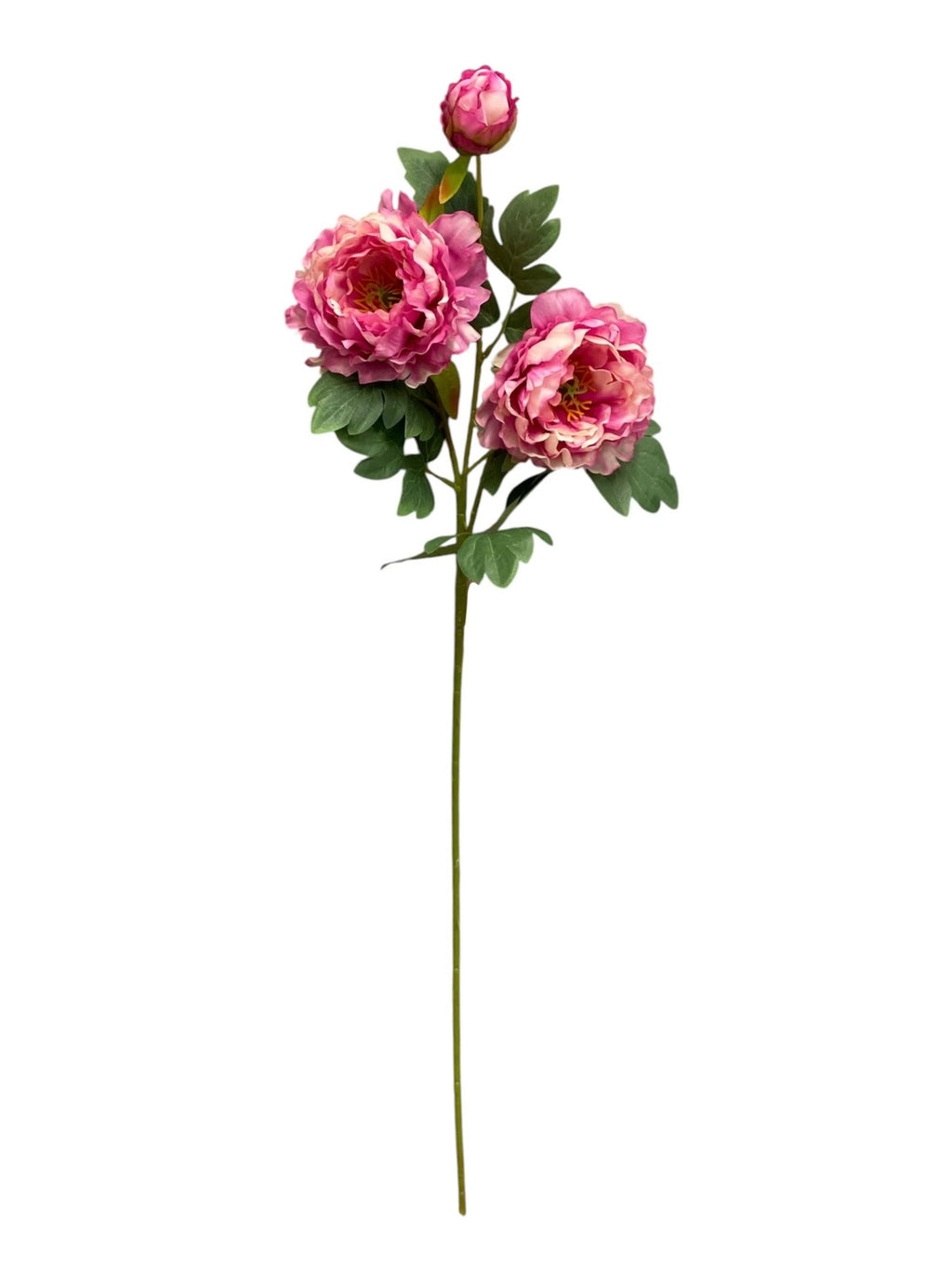 32'' Single Peony ( INT510-94-#5 Tone Beauty )