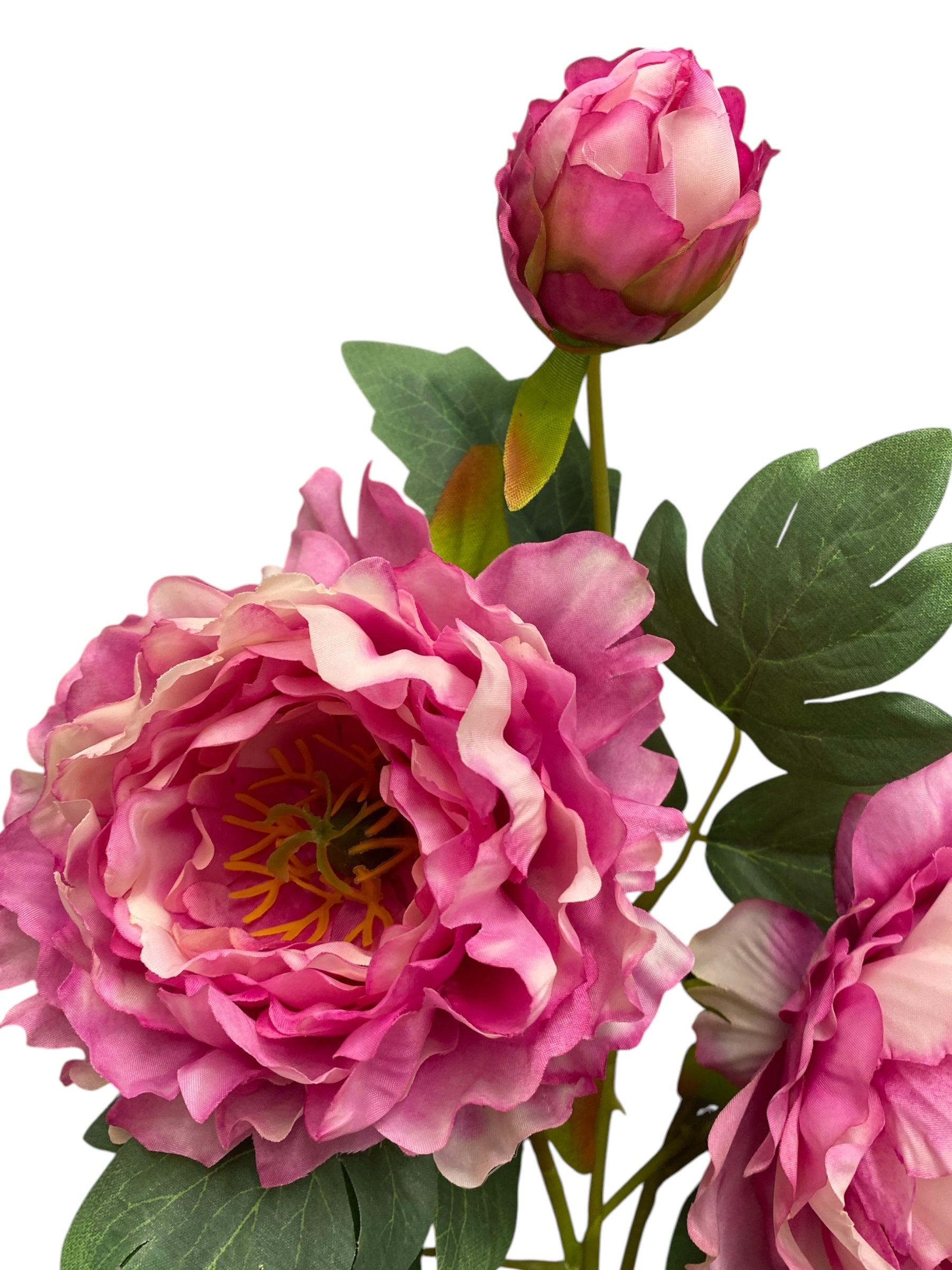 32'' Single Peony ( INT510-94-#5 Tone Beauty )