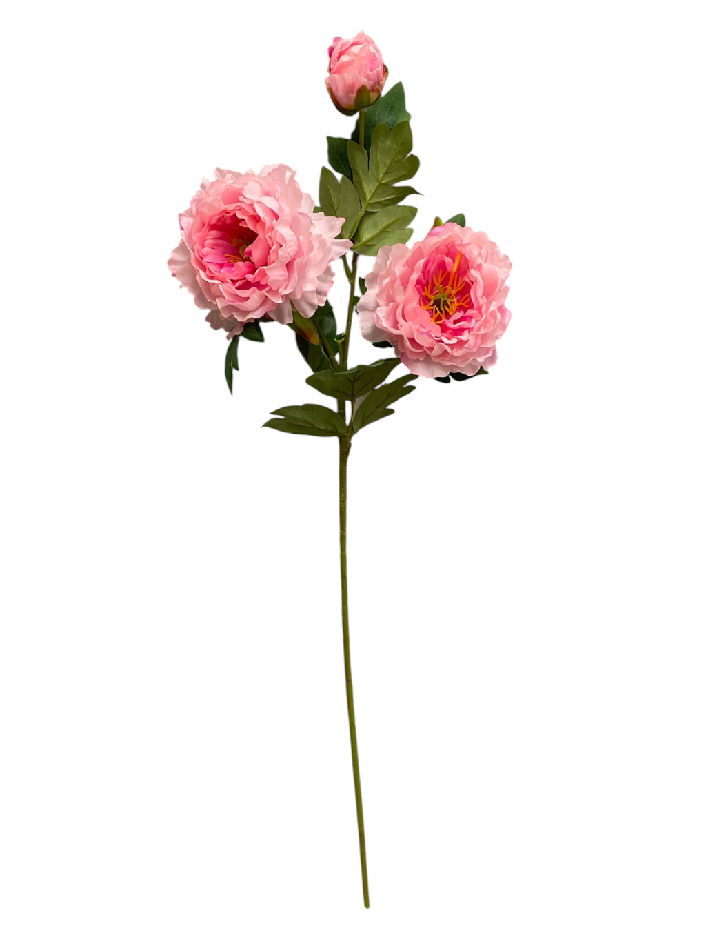 32'' Single Peony ( INT510-94-#7 Blush )