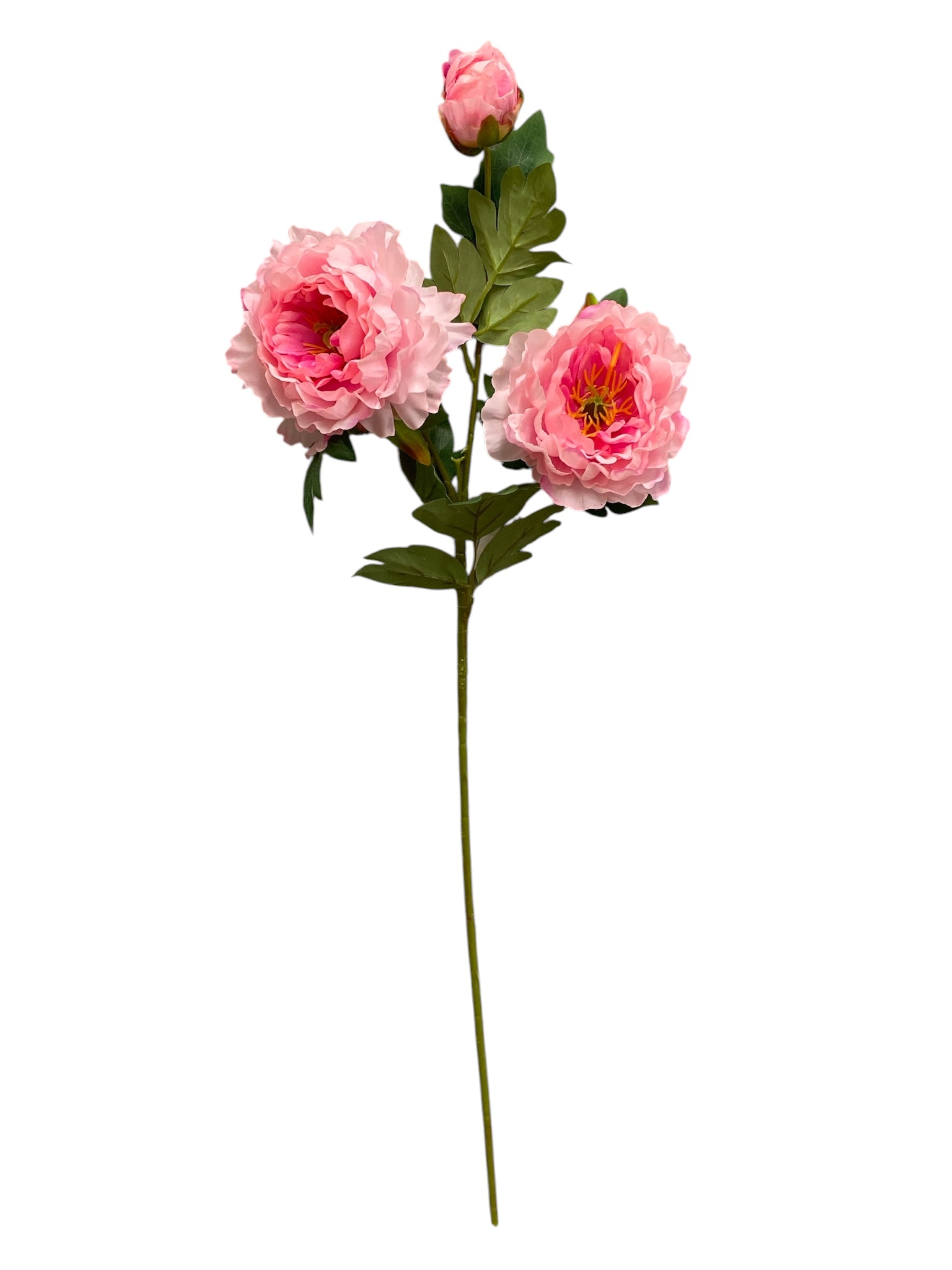 32'' Single Peony ( INT510-94-#7 Blush )