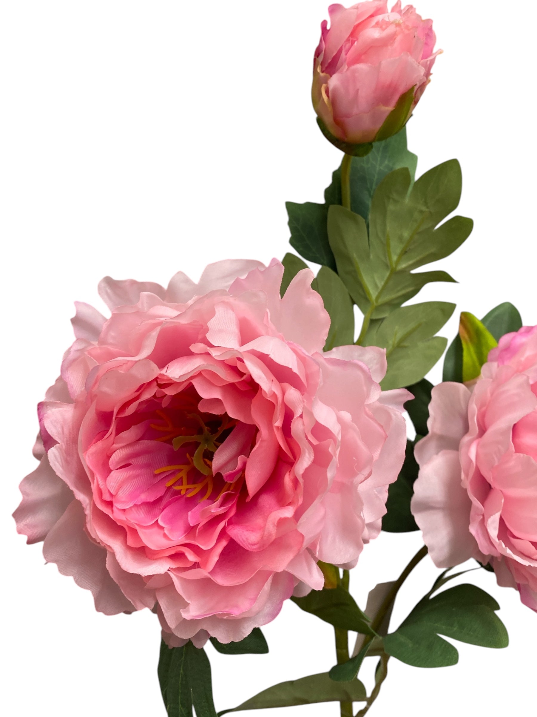 32'' Single Peony ( INT510-94-#7 Blush )