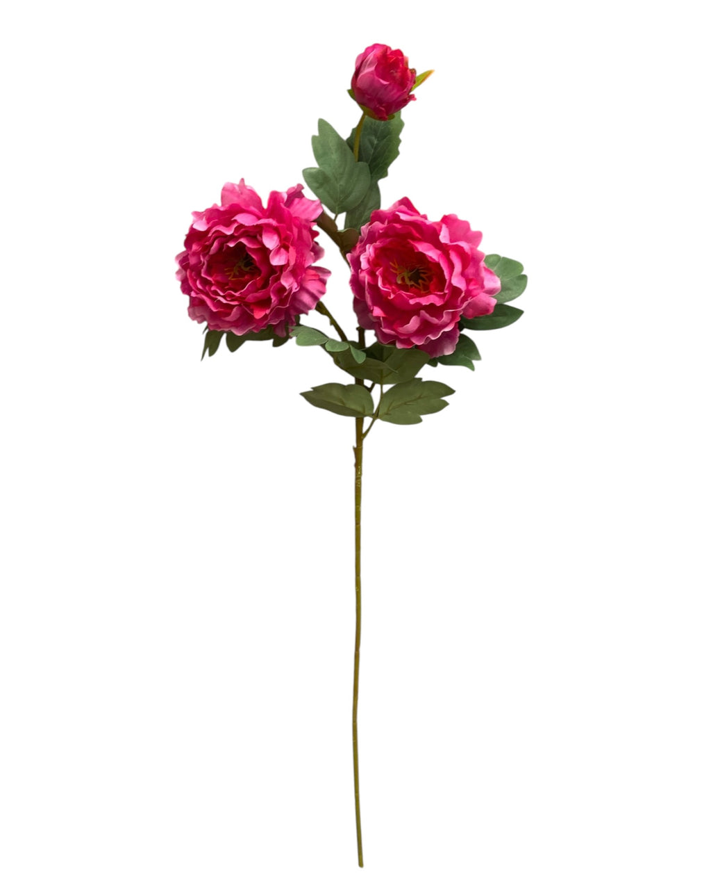 32'' Single Peony ( INT510-94-#4 Beauty )