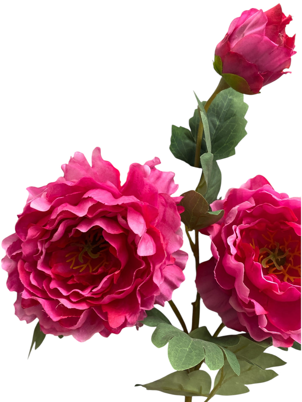 32'' Single Peony ( INT510-94-#4 Beauty )