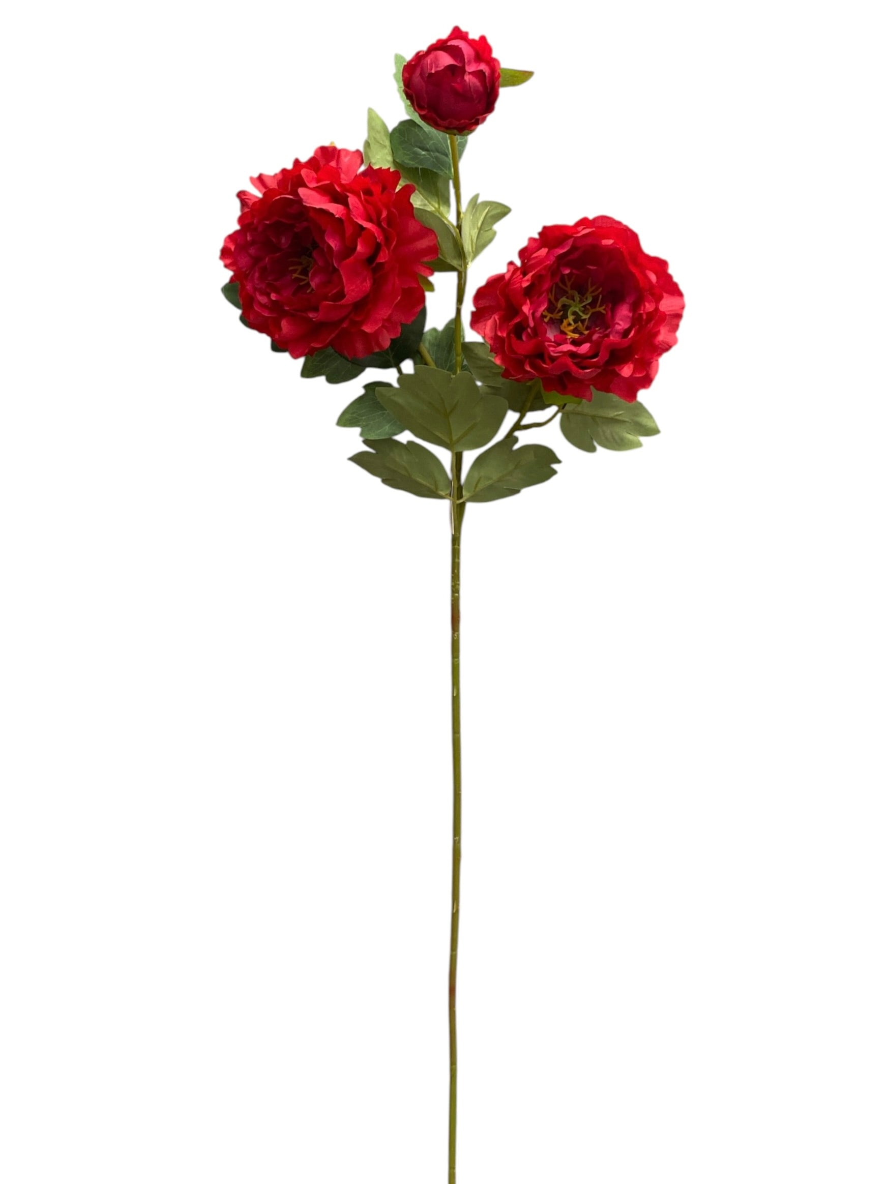 32'' Single Peony ( INT510-94-#8 Red )