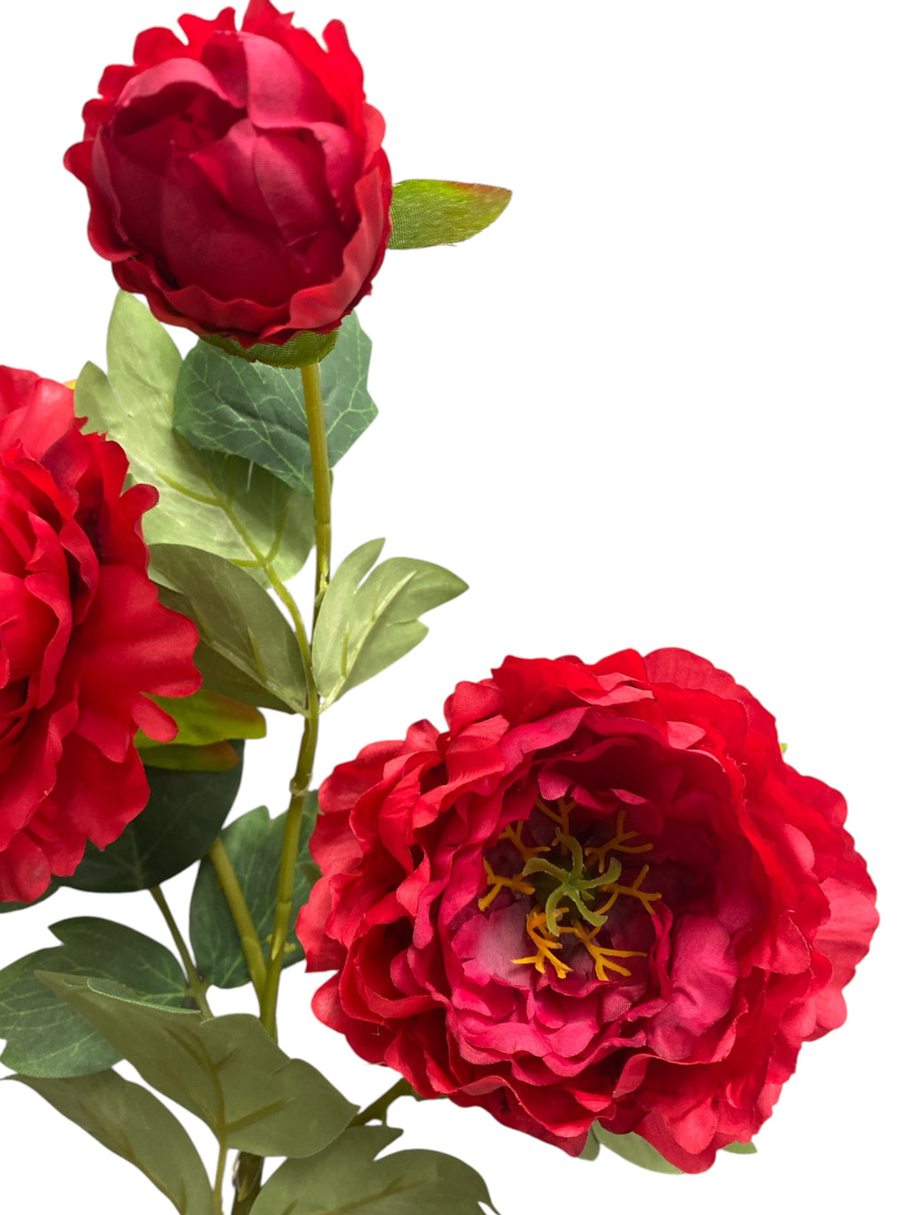 32'' Single Peony ( INT510-94-#8 Red )