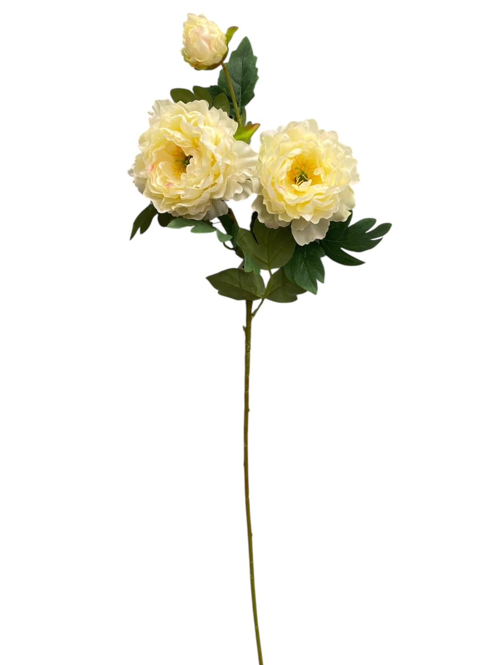 32'' Single Peony ( INT510-94-#2 Cream )