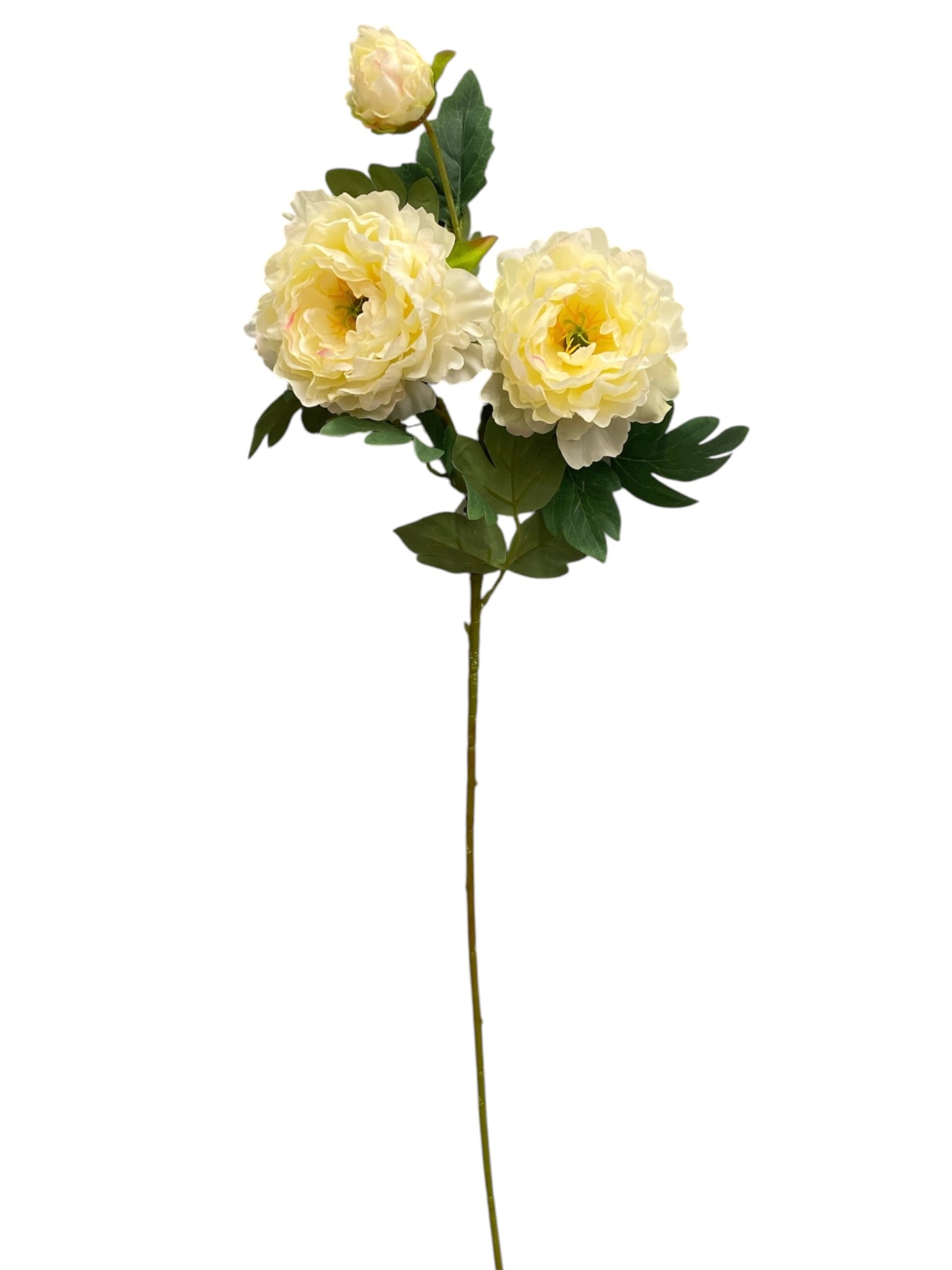32'' Single Peony ( INT510-94-#2 Cream )