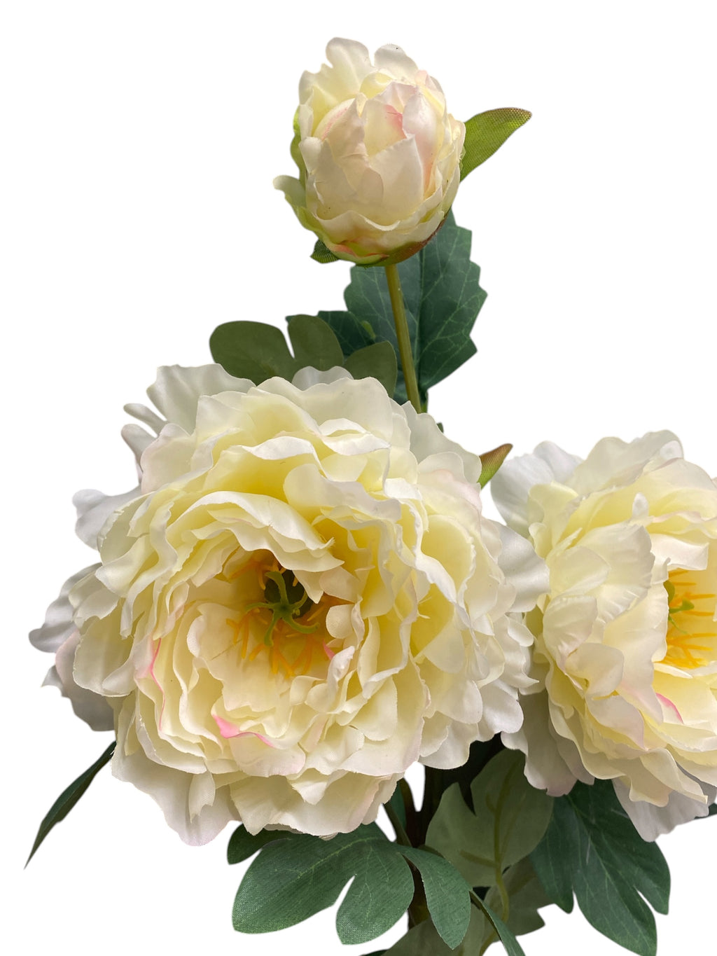 32'' Single Peony ( INT510-94-#2 Cream )