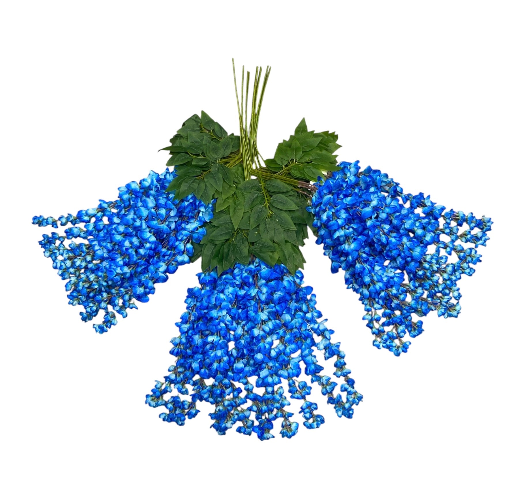 37'' Cassia Fistula ( H3001-#7 Blue )