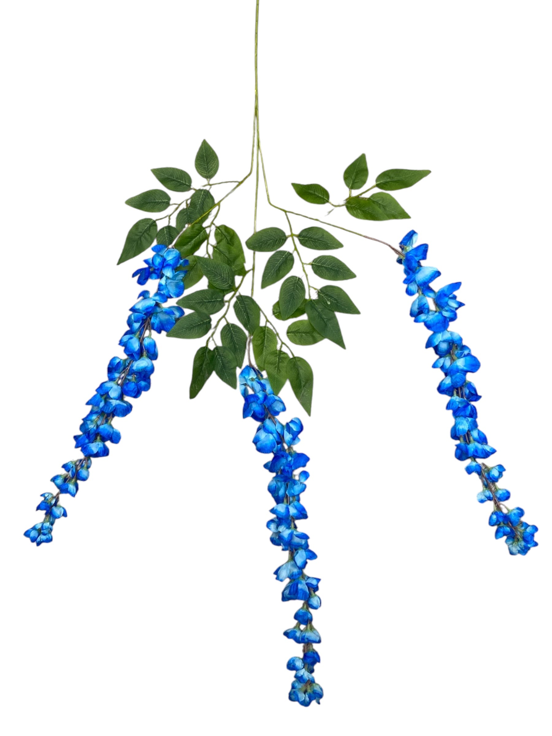 37'' Cassia Fistula ( H3001-#7 Blue )