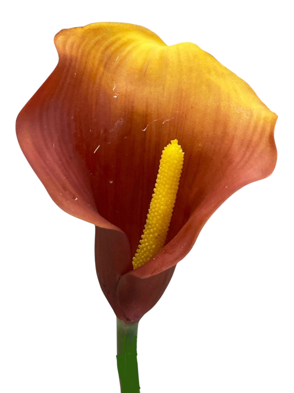 23" Real touch Calla Lily Spray ( FSL220-Flame Two Tone )
