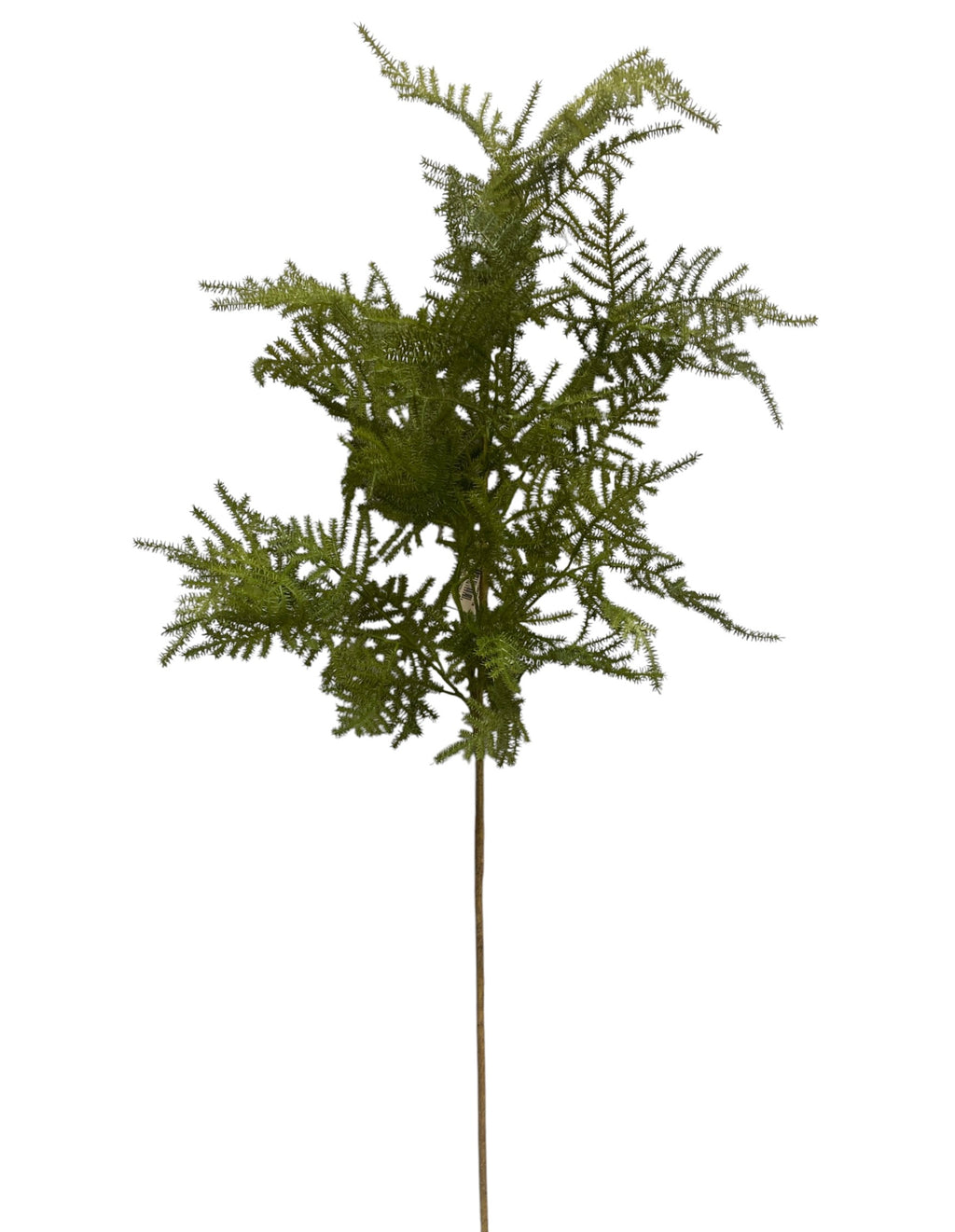 38" Asparagus Fern Spray ( PSF739-Green )