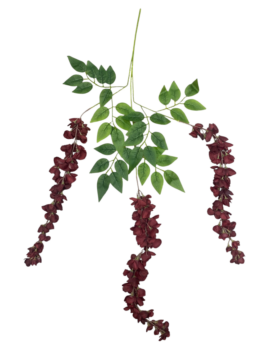 37'' Cassia Fistula ( H3001-Burgundy )