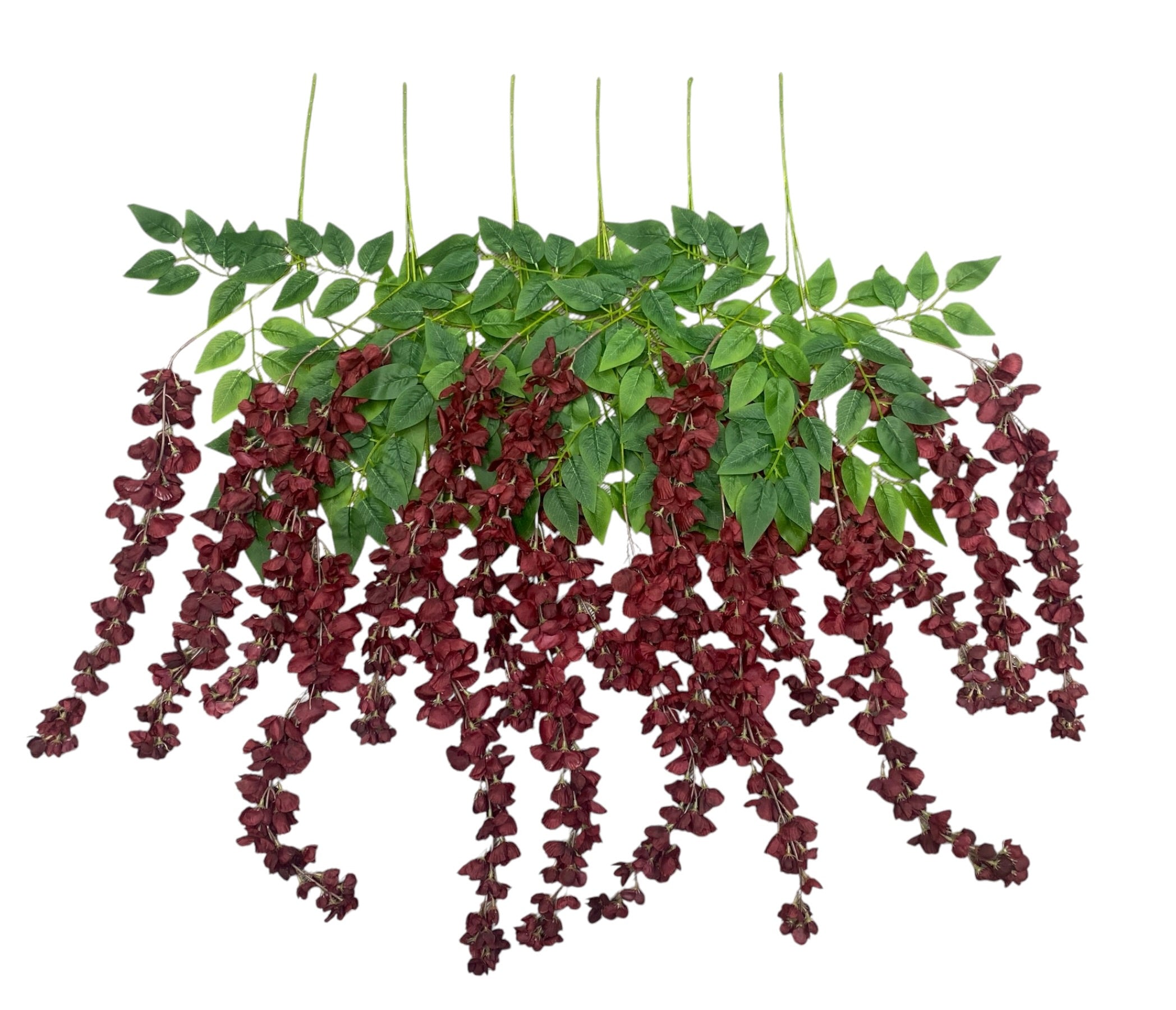 37'' Cassia Fistula ( H3001-Burgundy )