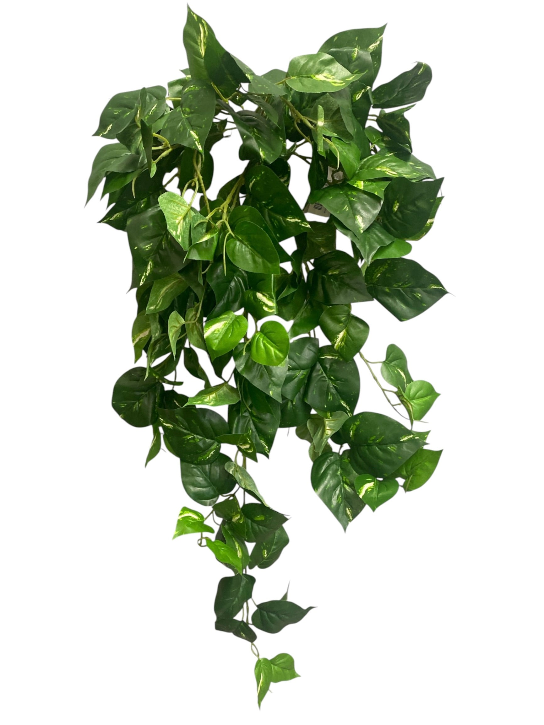31'' Pothos Hanging Bush ( INT8425 )