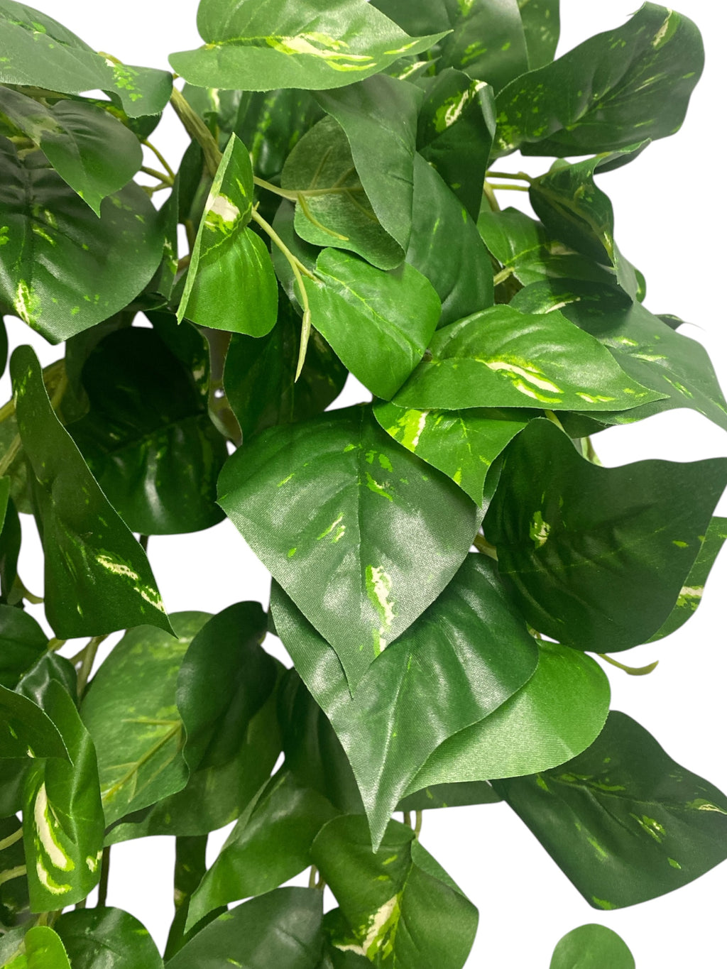 31'' Pothos Hanging Bush ( INT8425 )