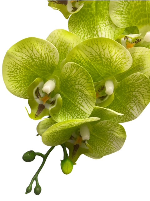 37'' Real Touch Single Orchid ( INT055-#3 Green )