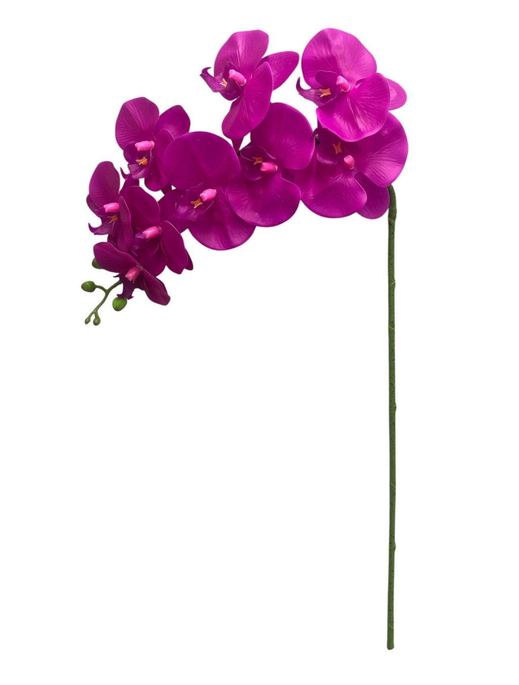37'' Real Touch Single Orchid ( INT055-#9 Soft Fuchsia )