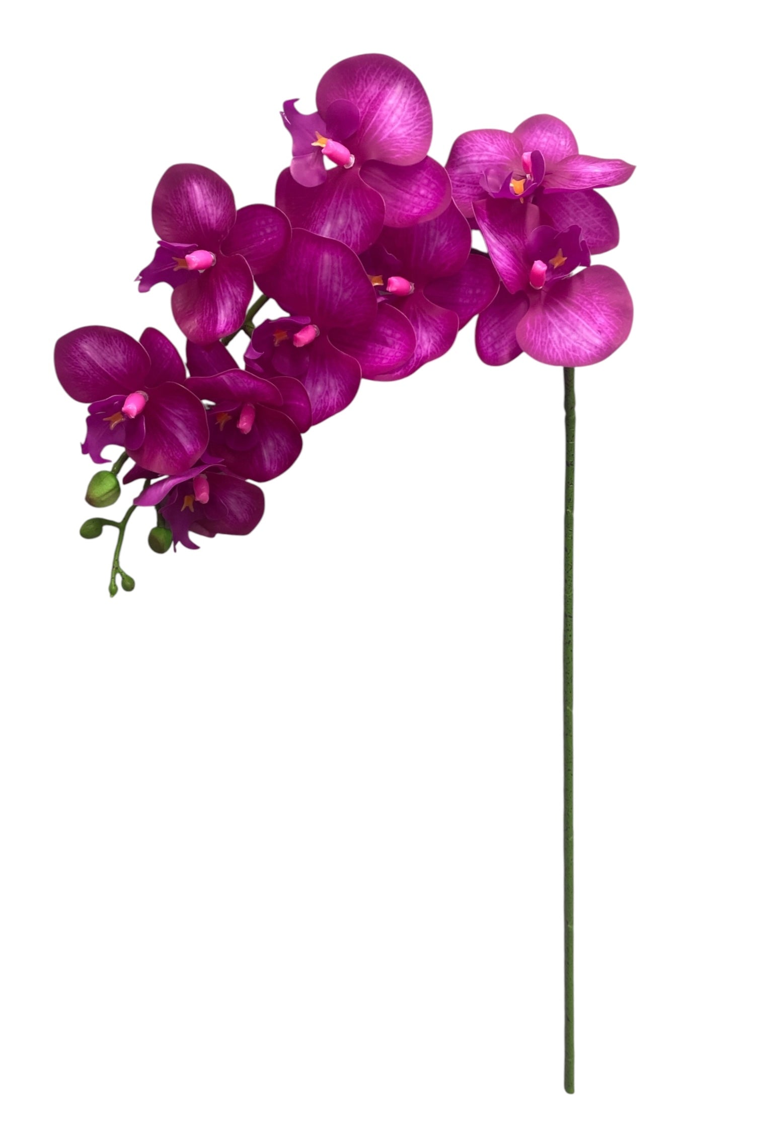 37'' Real Touch Single Orchid ( INT055-#5 Fuchsia )