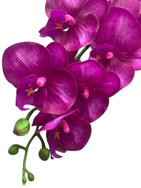 37'' Real Touch Single Orchid ( INT055-#5 Fuchsia )