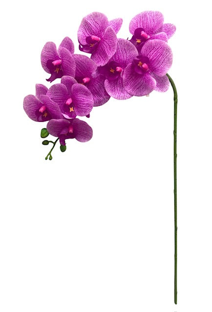 37'' Real Touch Single Orchid ( INT055-#6 Two Tone Fuchsia )