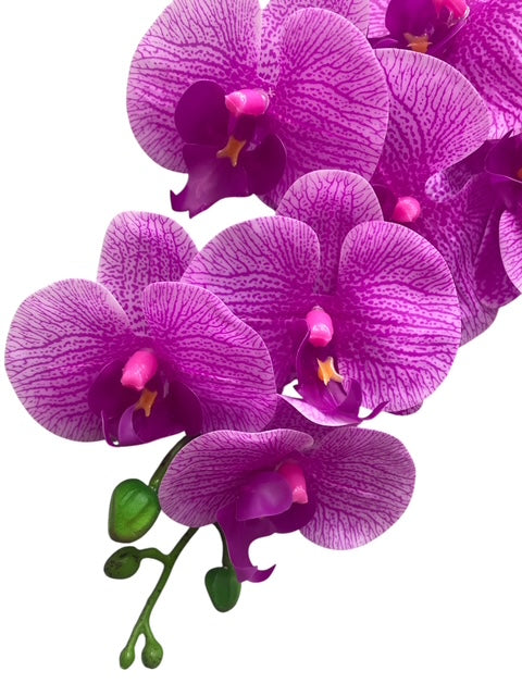 37'' Real Touch Single Orchid ( INT055-#6 Two Tone Fuchsia )