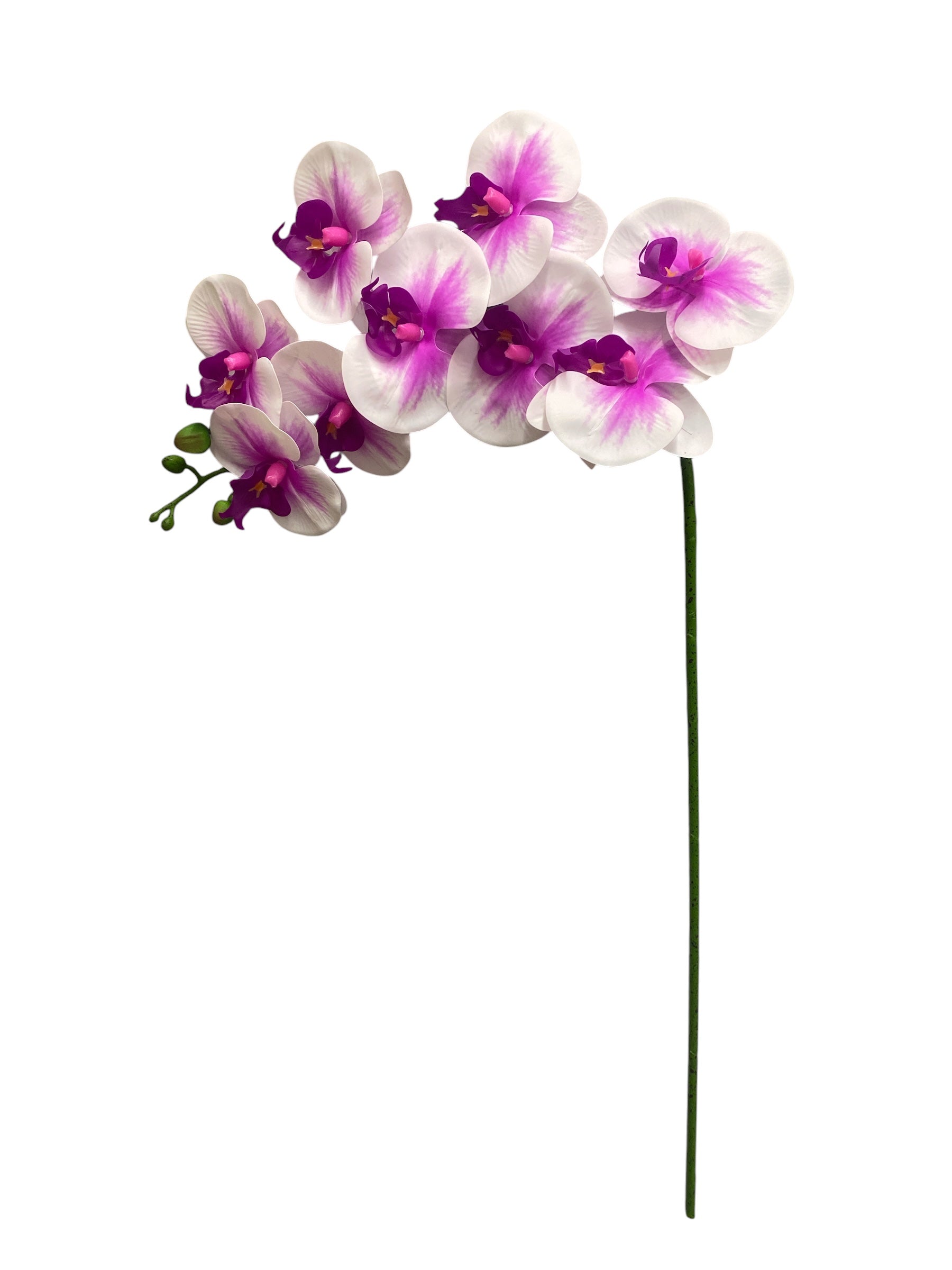 37'' Real Touch Single Orchid ( INT055-#1 Cream Pink )